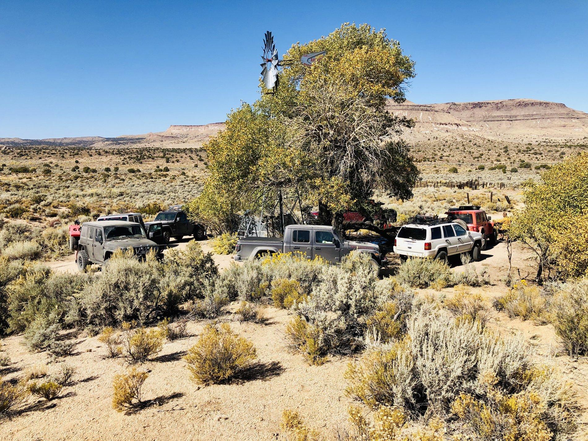 Jeep Gladiator What did you do WITH your Gladiator today? 1EC47B95-EF3E-4070-A189-41AFDC29021E