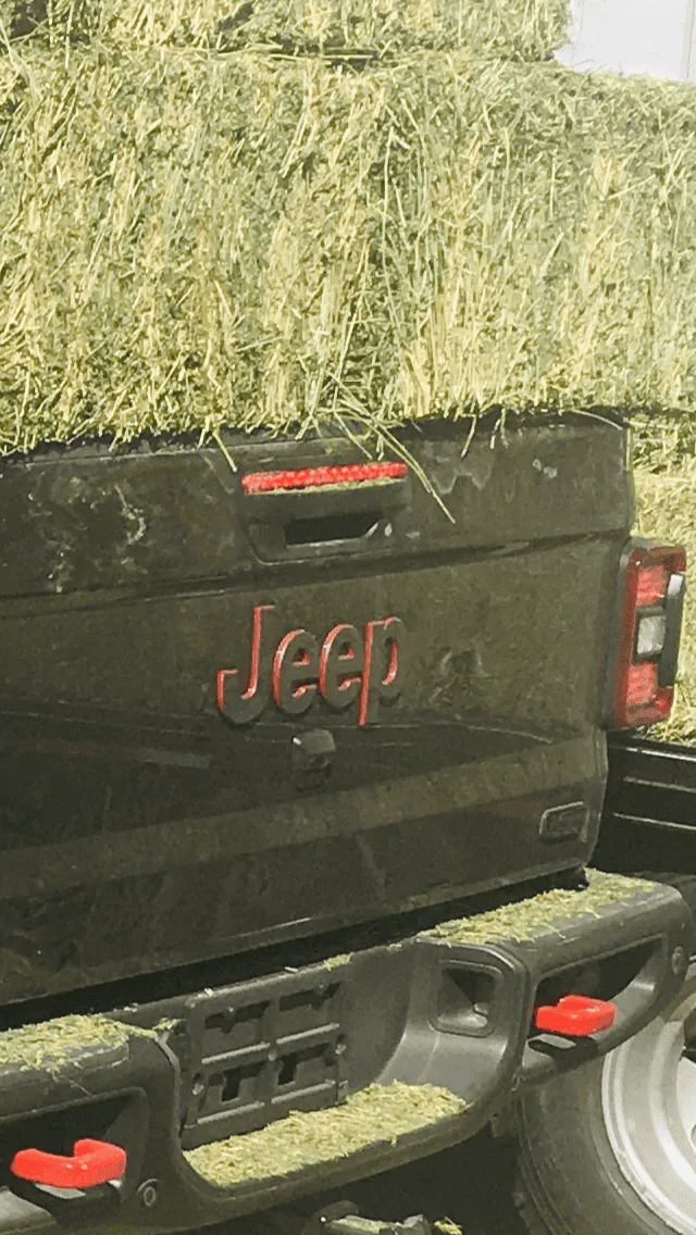 Jeep Gladiator First Granite Crystal VIN# Post Here 66848A00-7F24-487E-A510-3D12B4500676