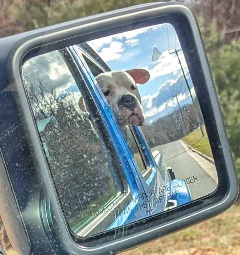 Jeep Gladiator My take on a DIY 40% rear seat delete for fridge Lobo2