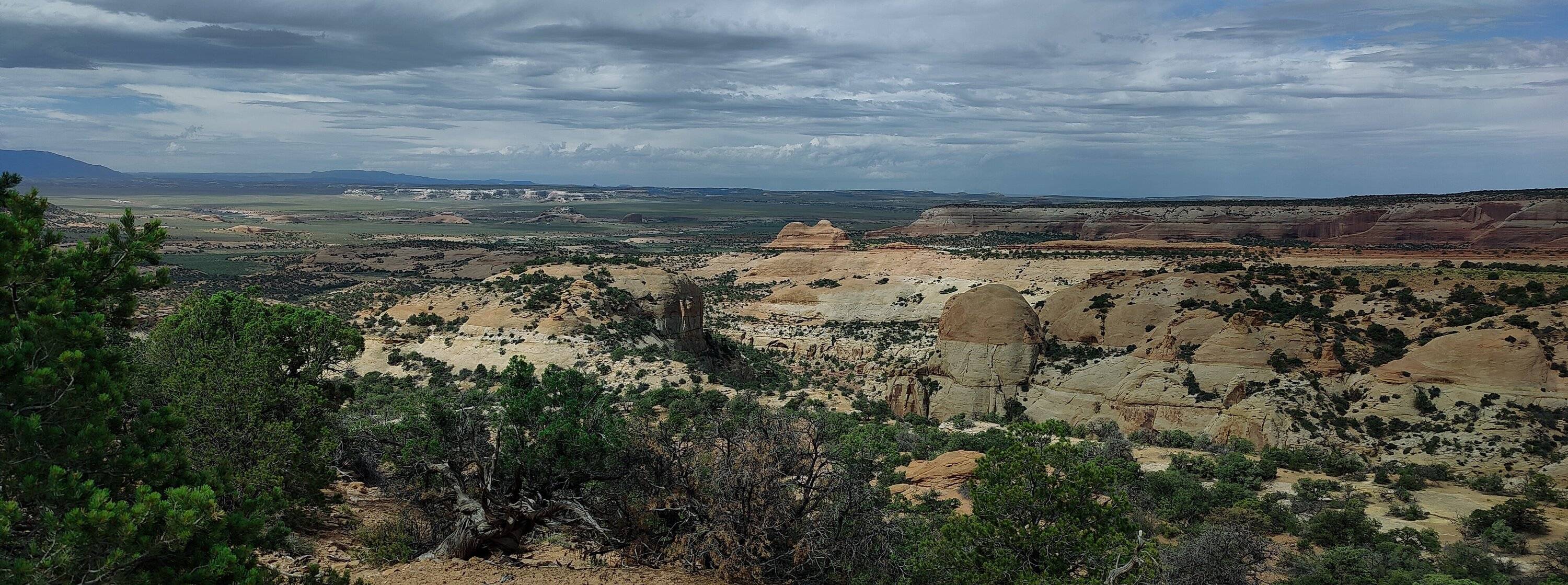 Jeep Gladiator Red Rock 4-Wheelers Trail of the Month June 2024 - Tommy Knocker WestVista