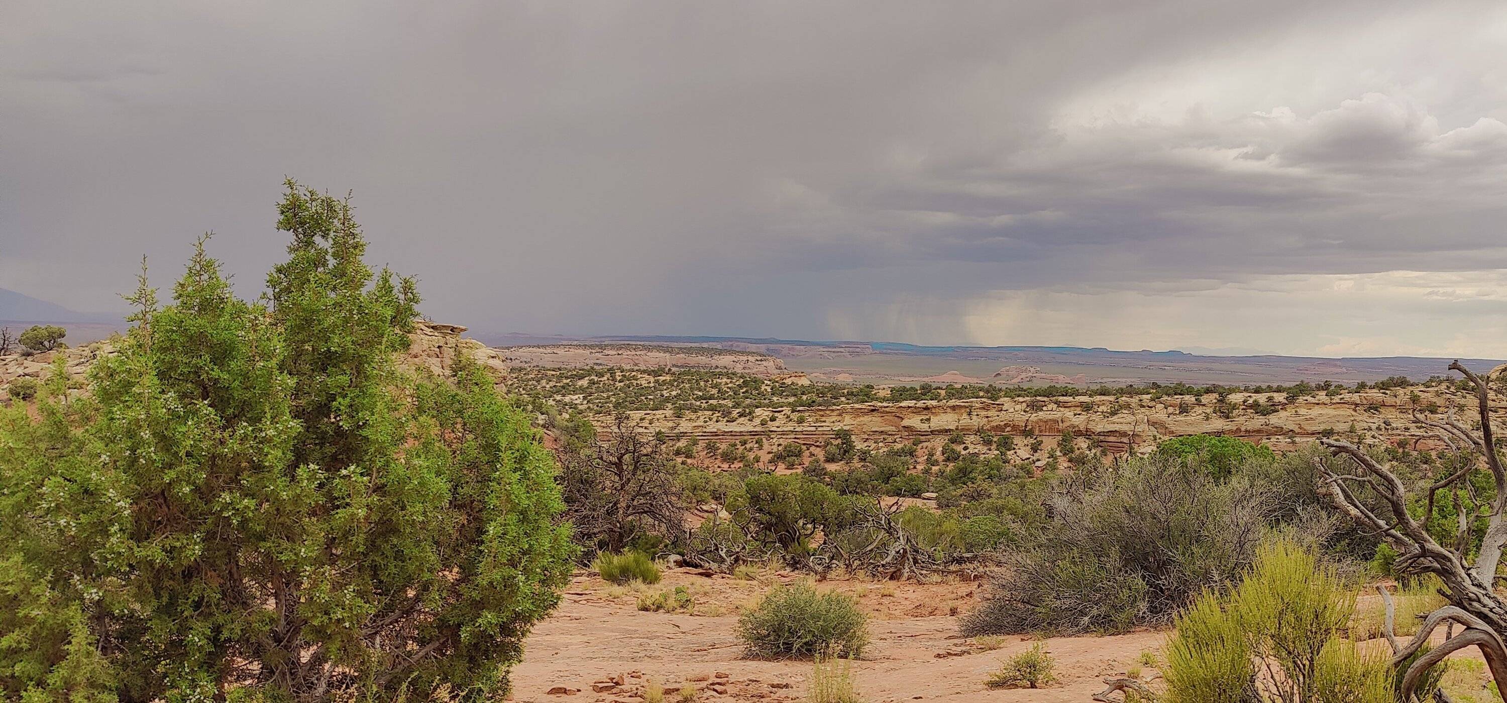 Jeep Gladiator Red Rock 4-Wheelers Trail of the Month June 2024 - Tommy Knocker ThreatenSky
