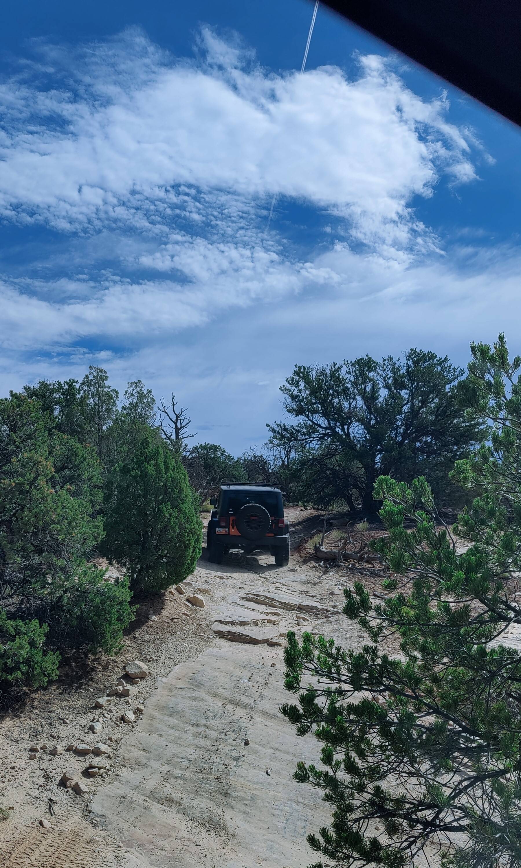 Jeep Gladiator Red Rock 4-Wheelers Trail of the Month June 2024 - Tommy Knocker SLAscent
