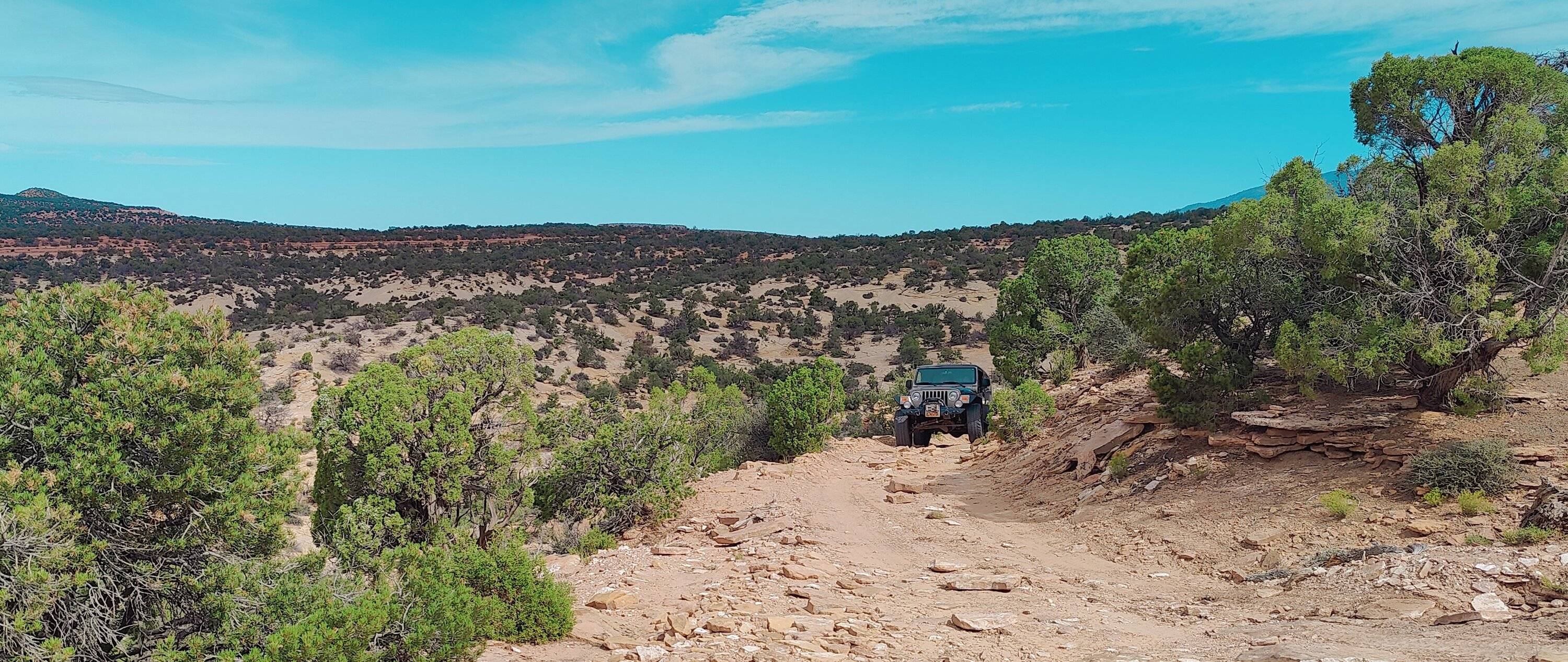 Jeep Gladiator Red Rock 4-Wheelers Trail of the Month June 2024 - Tommy Knocker OutOfWash