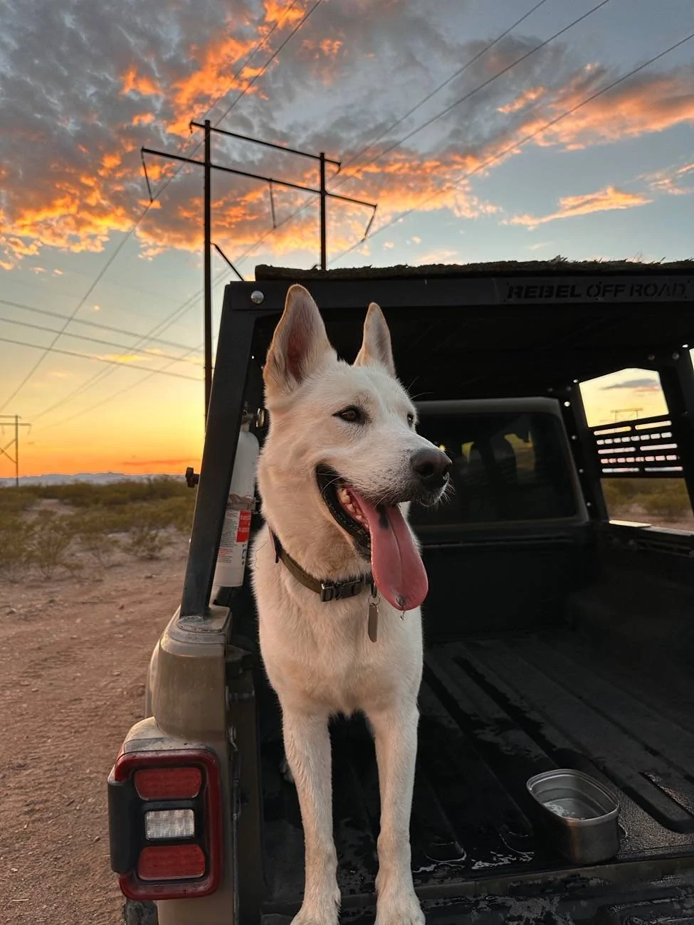 Jeep Gladiator Let’s see your pets cause they are the best companion you can have!!!!! IMG_5288