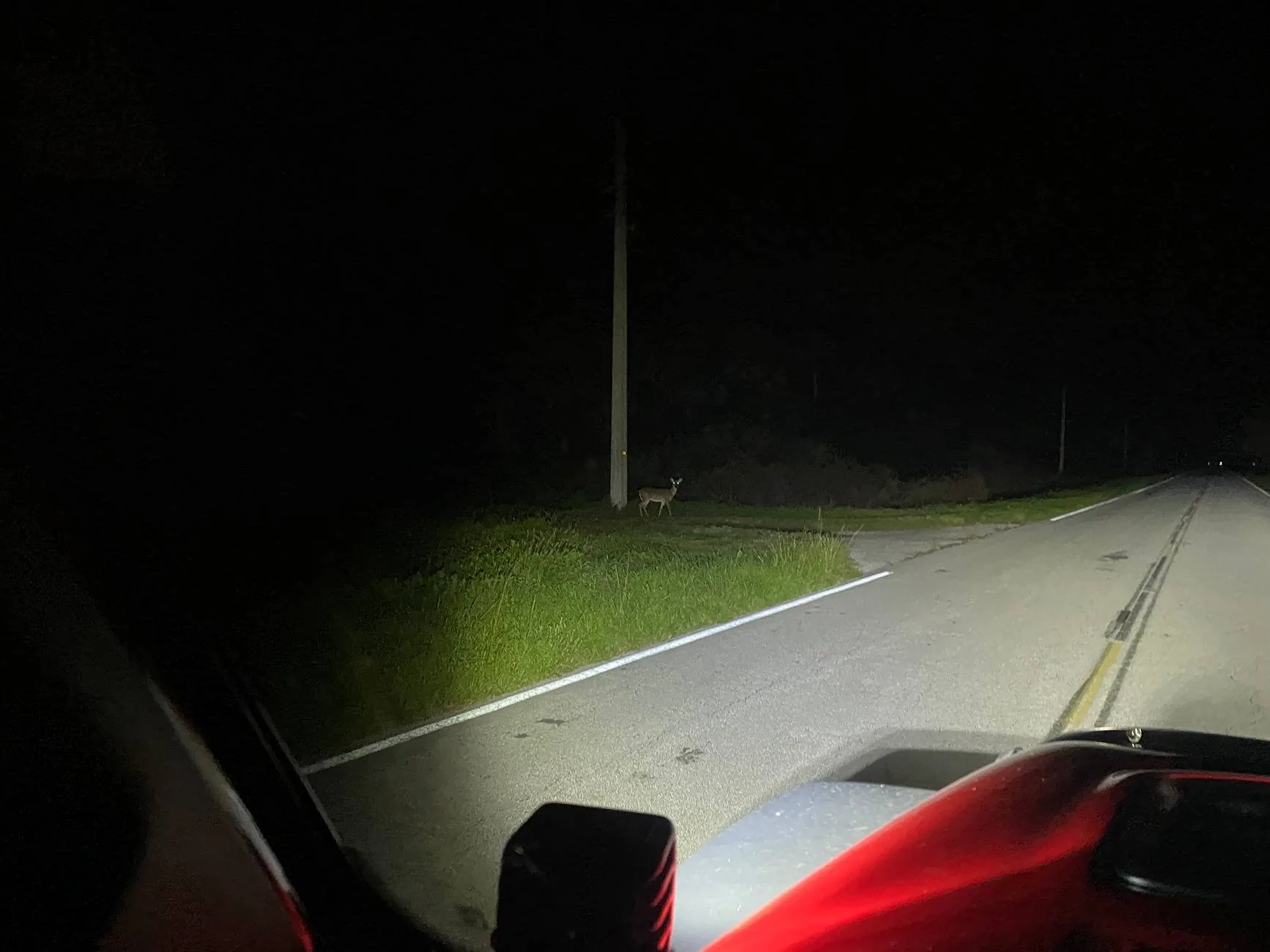 Jeep Gladiator Chase the Stars. Show us your night time shots! IMG_1535