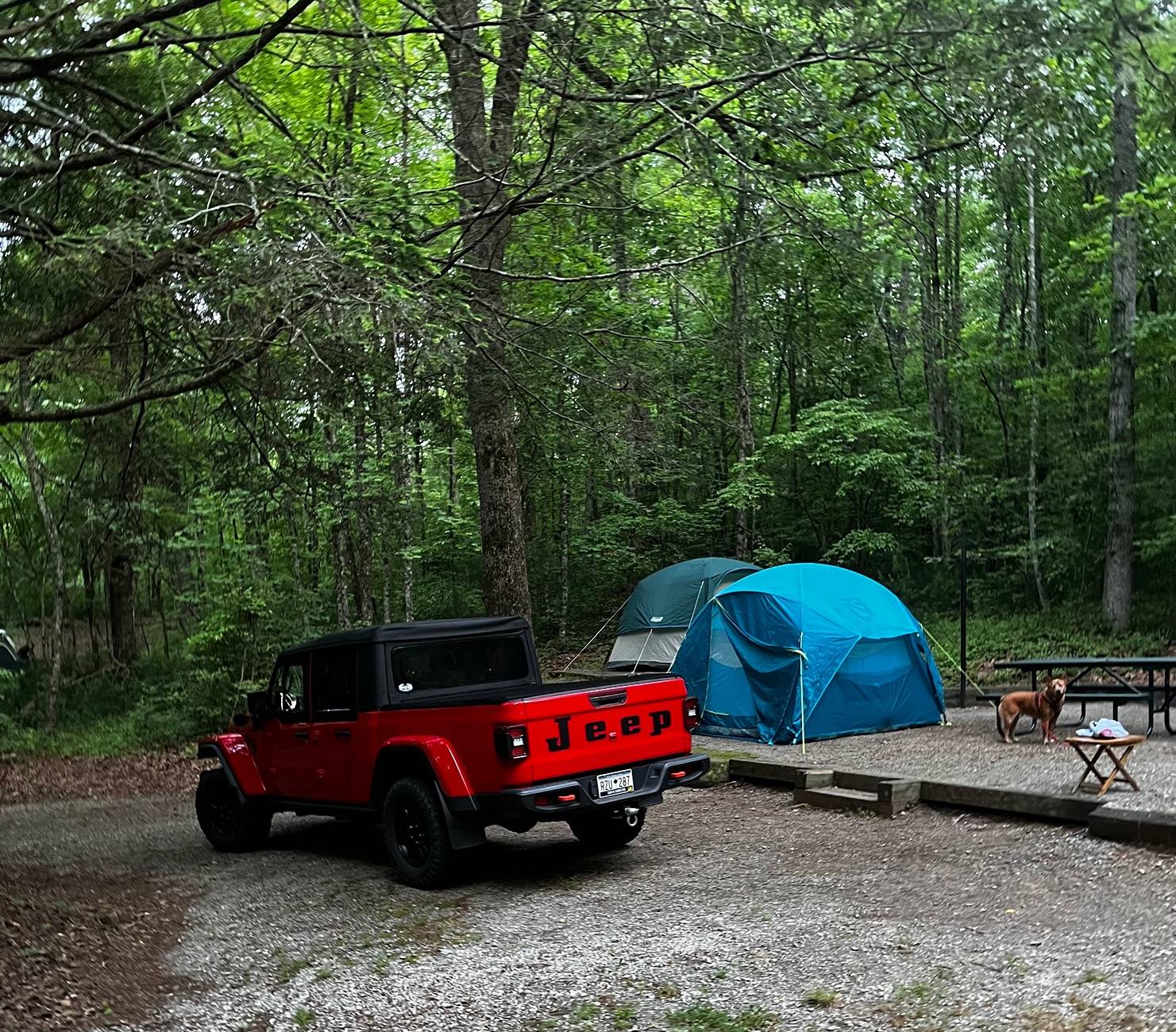 Jeep Gladiator Camping with your Gladiator 1725324864930-4o