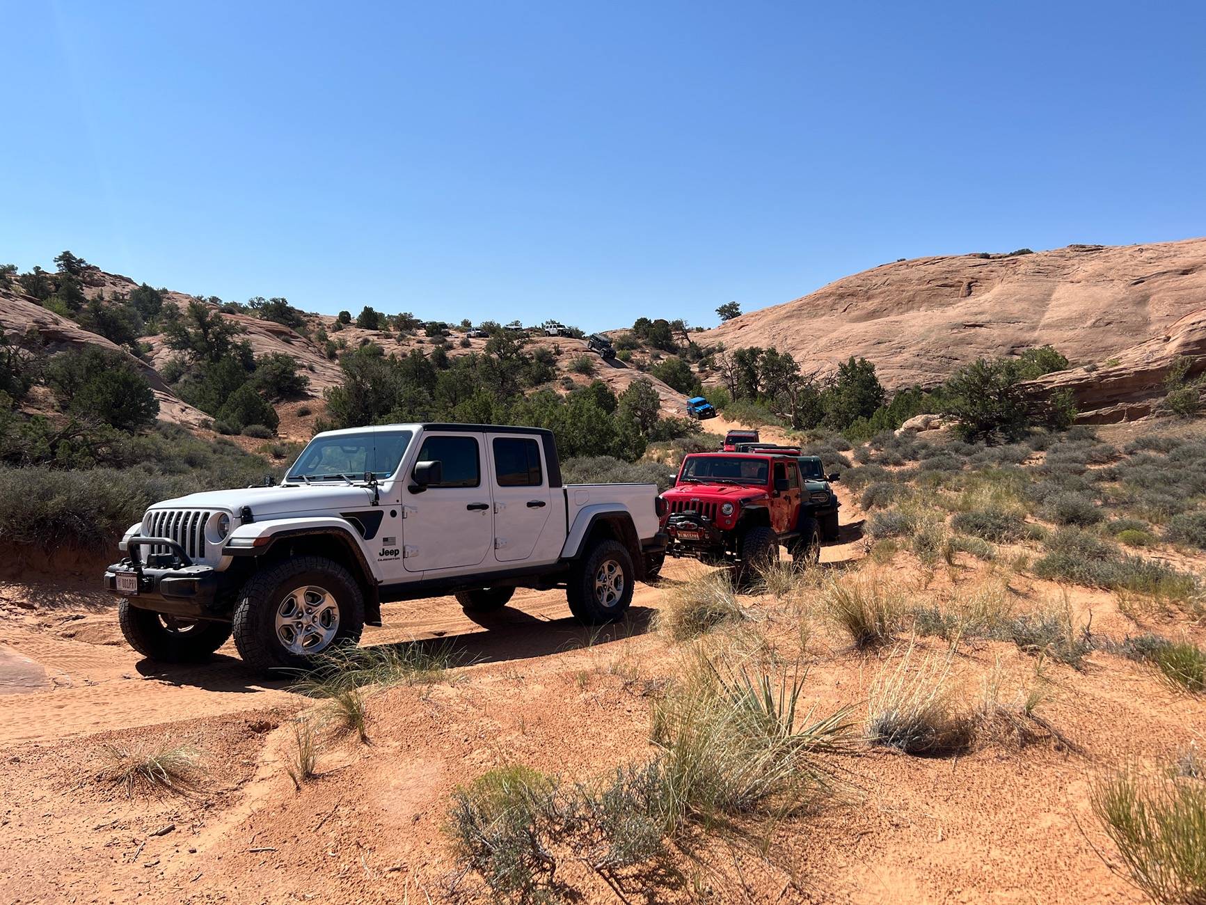 Jeep Gladiator Labor Day Safari Trip 2024 IMG_8342