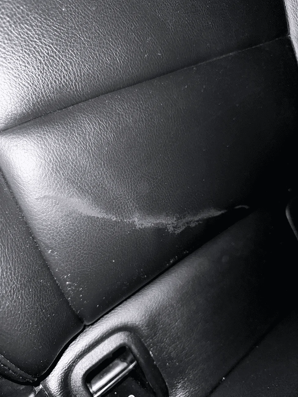 Jeep Gladiator What ruined my leather? after