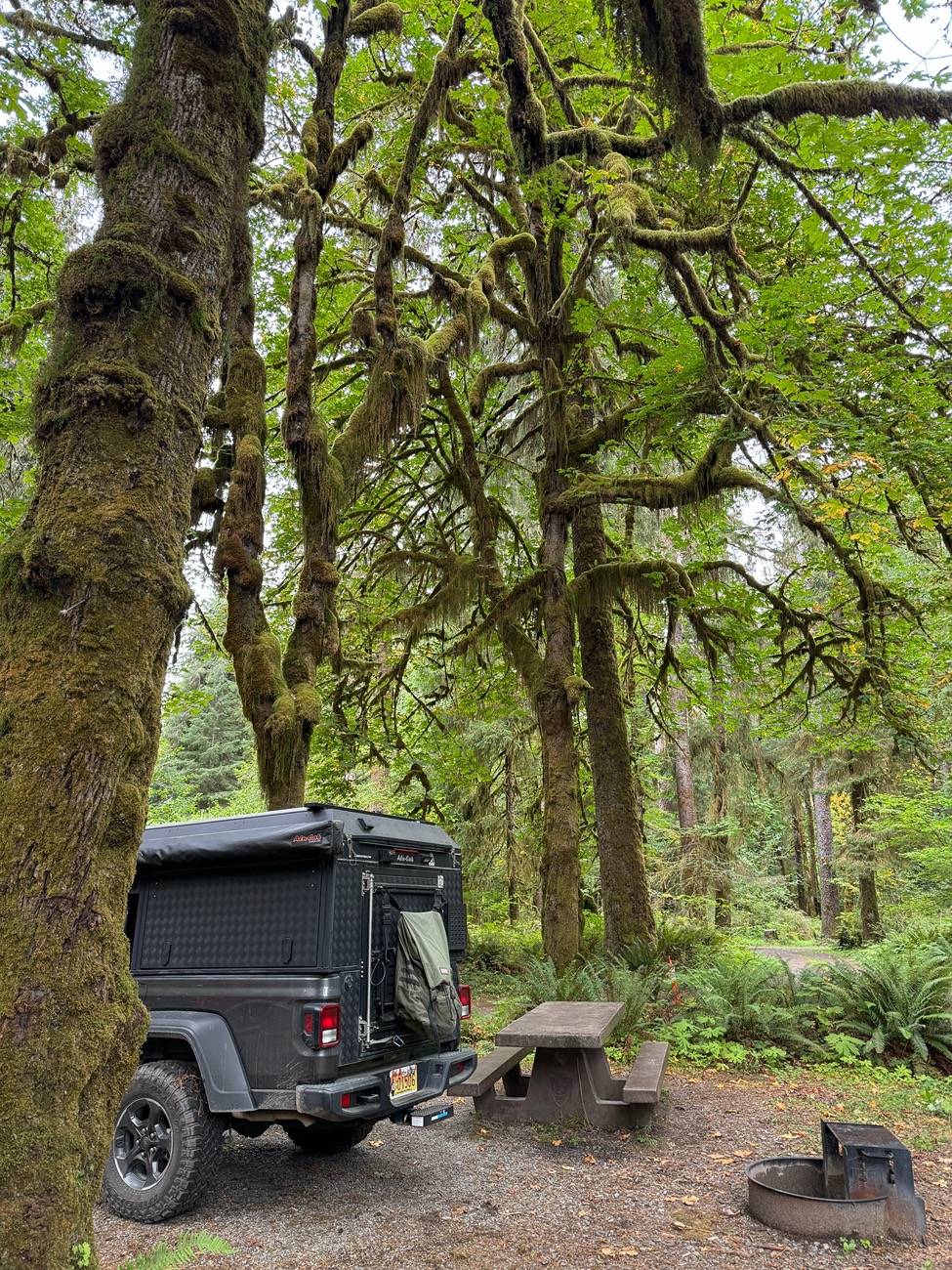Jeep Gladiator Alu-Cab Canopy Camper Roll Call IMG_4598