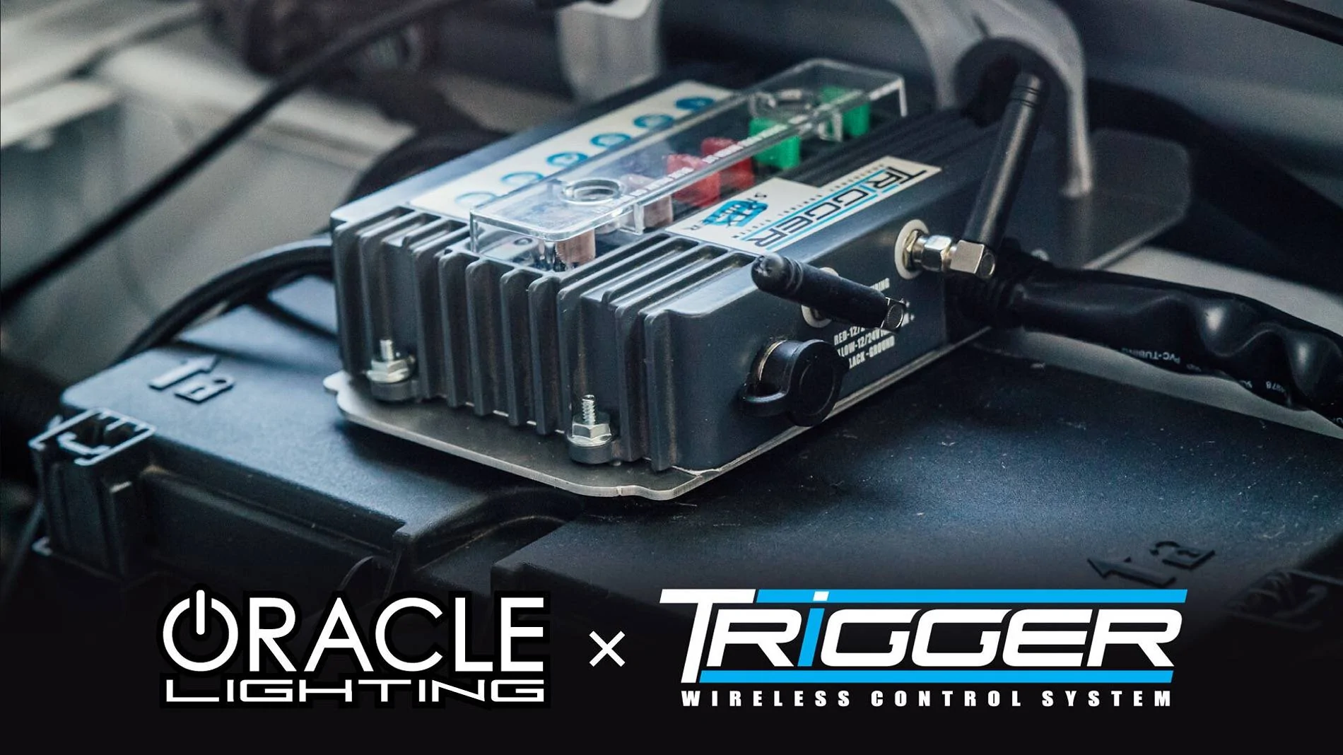 Jeep Gladiator Overwhelmed by choice oracle-x-trigger-wid