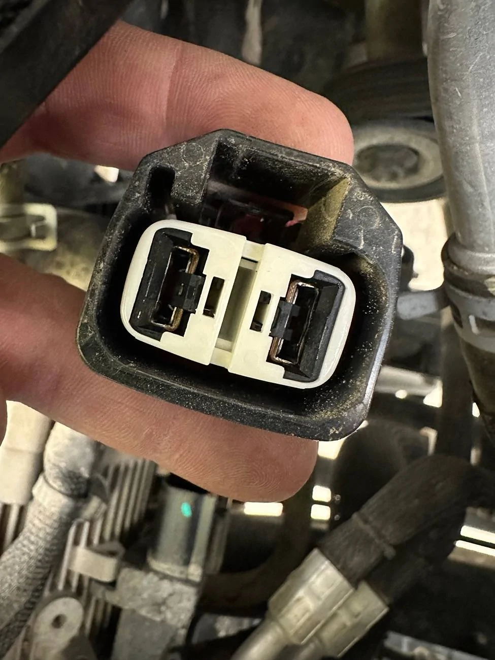 Jeep Gladiator US investigating 781K Jeeps over underhood fire reports (Wrangler & Gladiator) -- power steering pump electrical connector issue IMG_2365