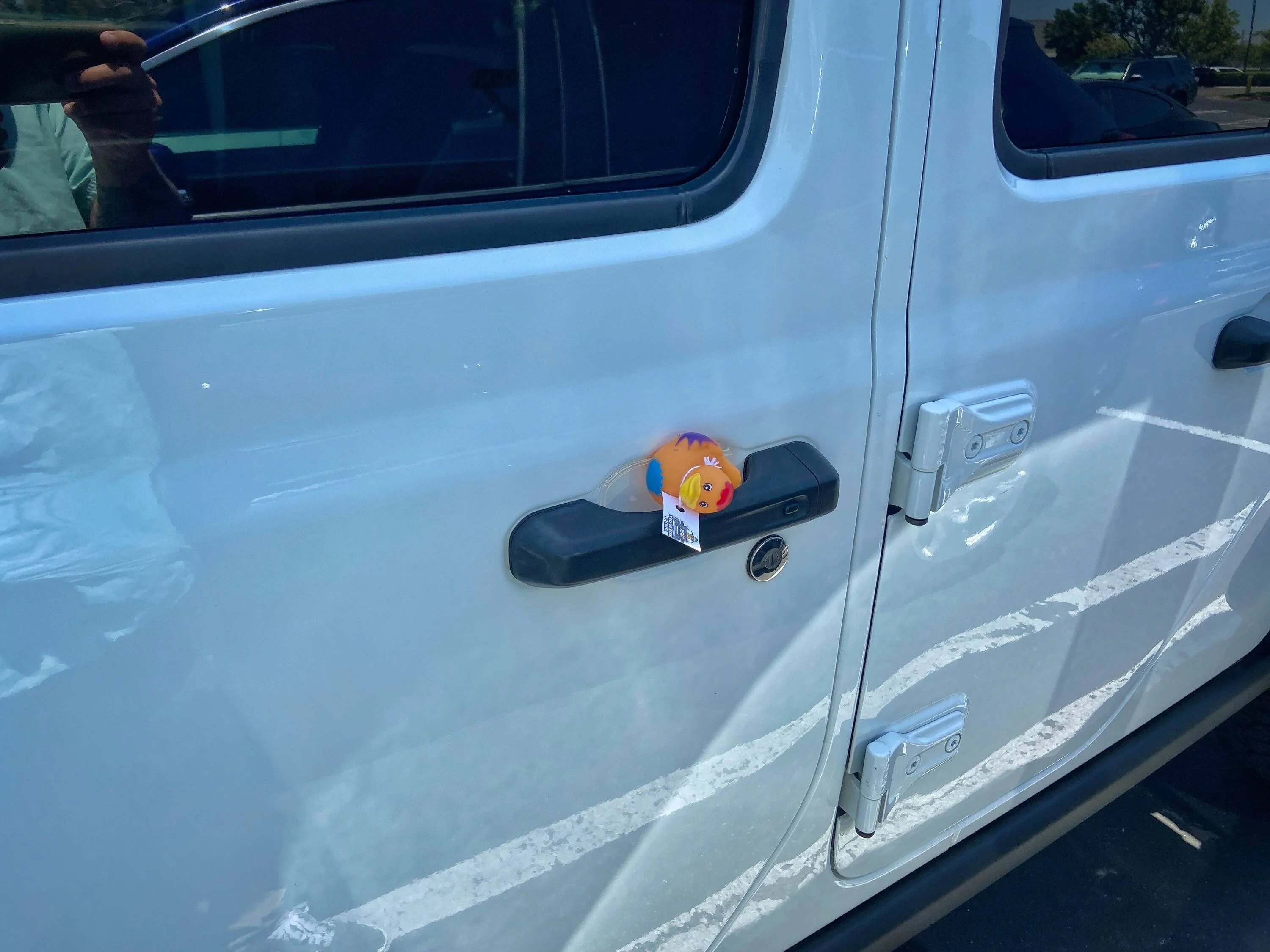 Jeep Gladiator FROADER76’s 2020 Rubicon IMG_1119