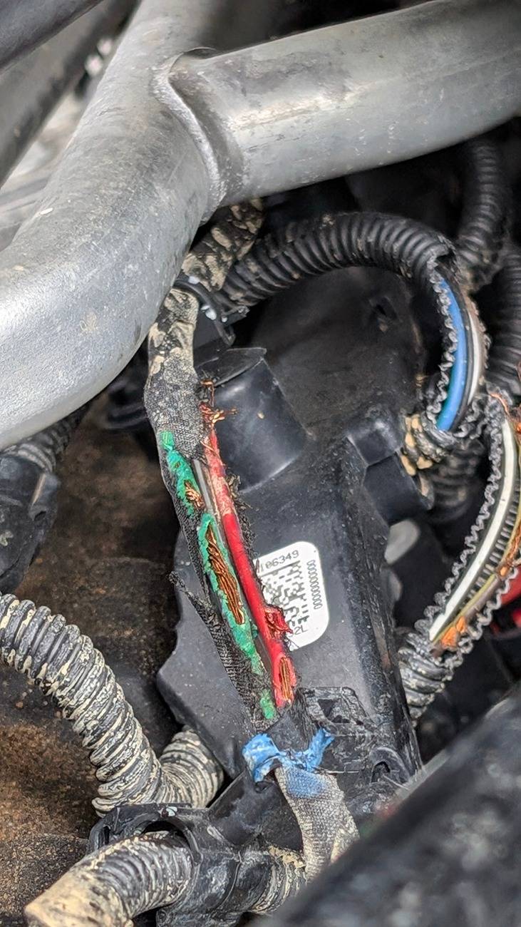 Jeep Gladiator US investigating 781K Jeeps over underhood fire reports (Wrangler & Gladiator) -- power steering pump electrical connector issue PXL_20240915_140609523.RAW-01.COVER
