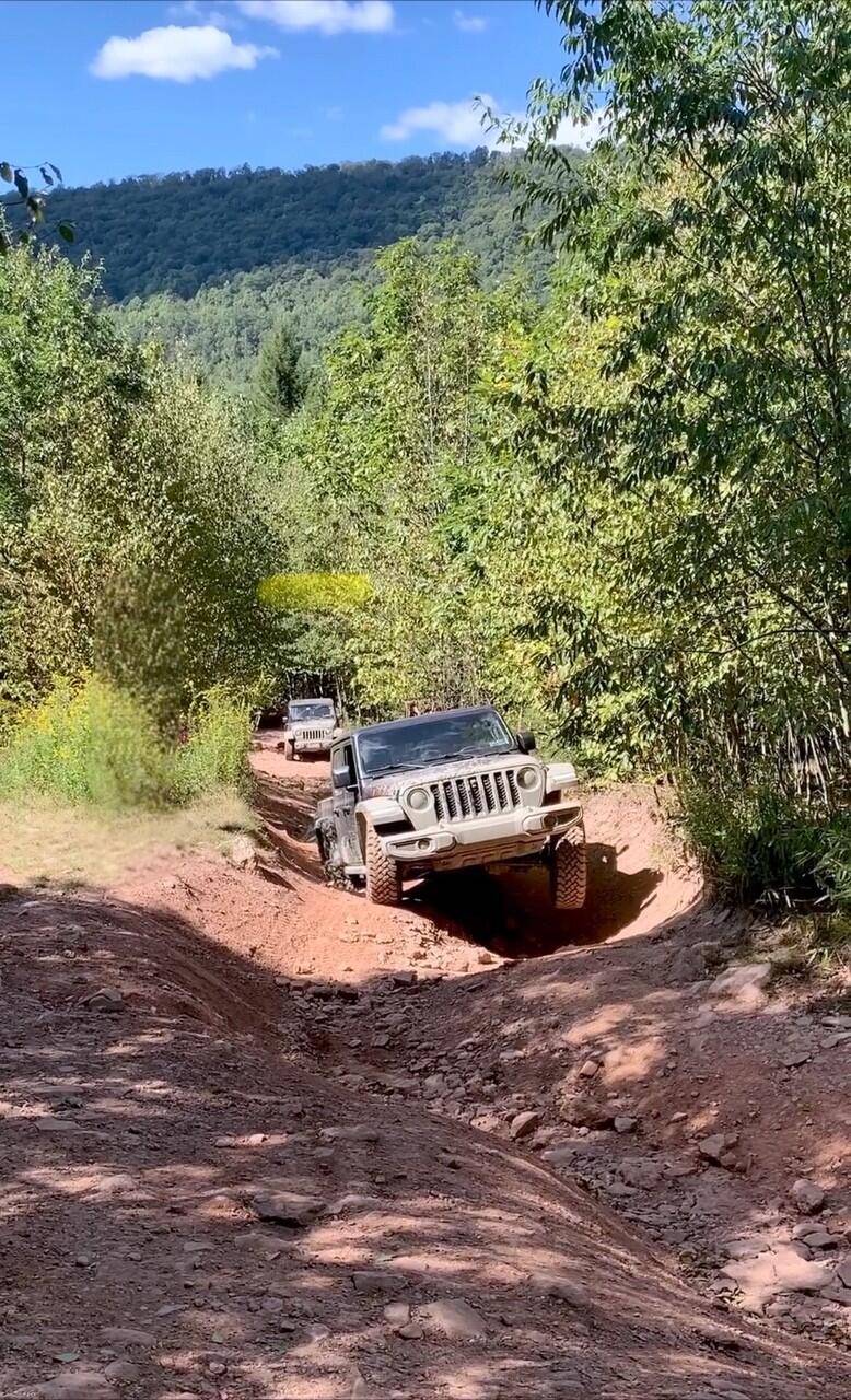Jeep Gladiator Any 2020 Gladiator Owners Still Here? 1726518824387-it
