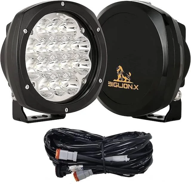 Jeep Gladiator Wachuko's 2024 Mojave X Build Thread 5inch Ditch Light