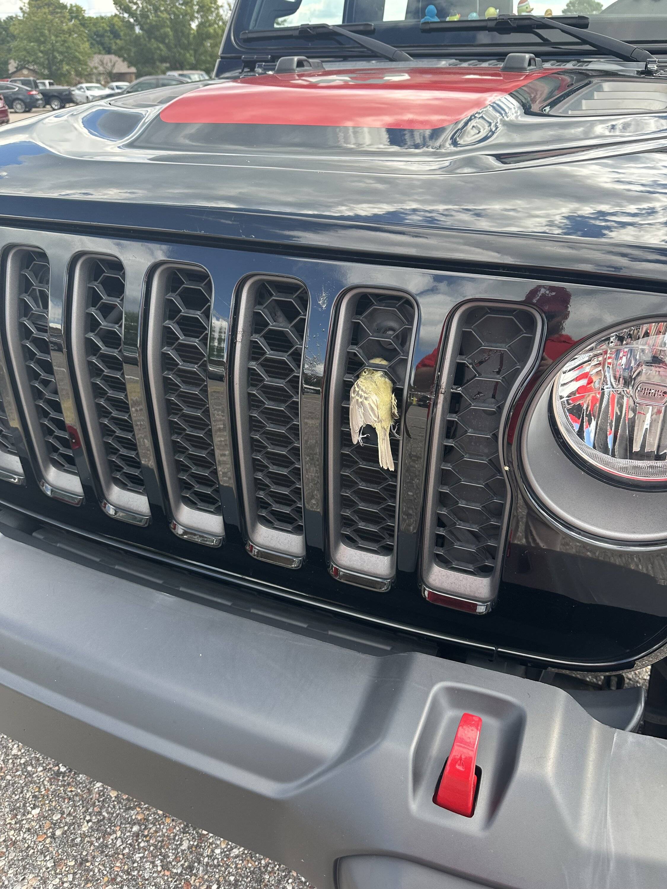 Jeep Gladiator Air flow front grille IMG_4987