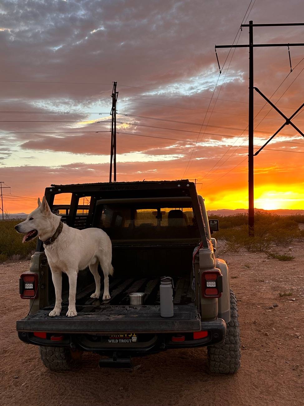 Jeep Gladiator Let’s see your pets cause they are the best companion you can have!!!!! IMG_5439
