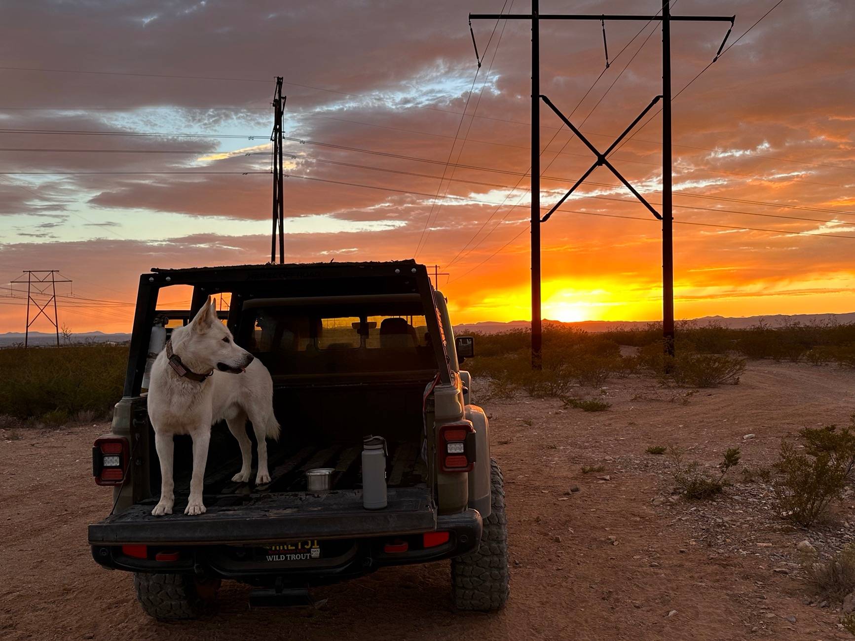 Jeep Gladiator Let’s see your pets cause they are the best companion you can have!!!!! IMG_5436