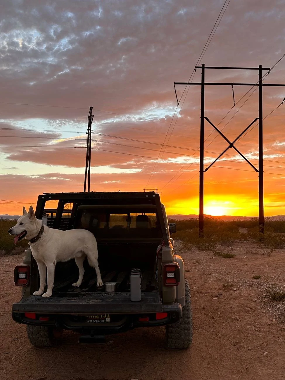 Jeep Gladiator Let’s see your pets cause they are the best companion you can have!!!!! IMG_5431