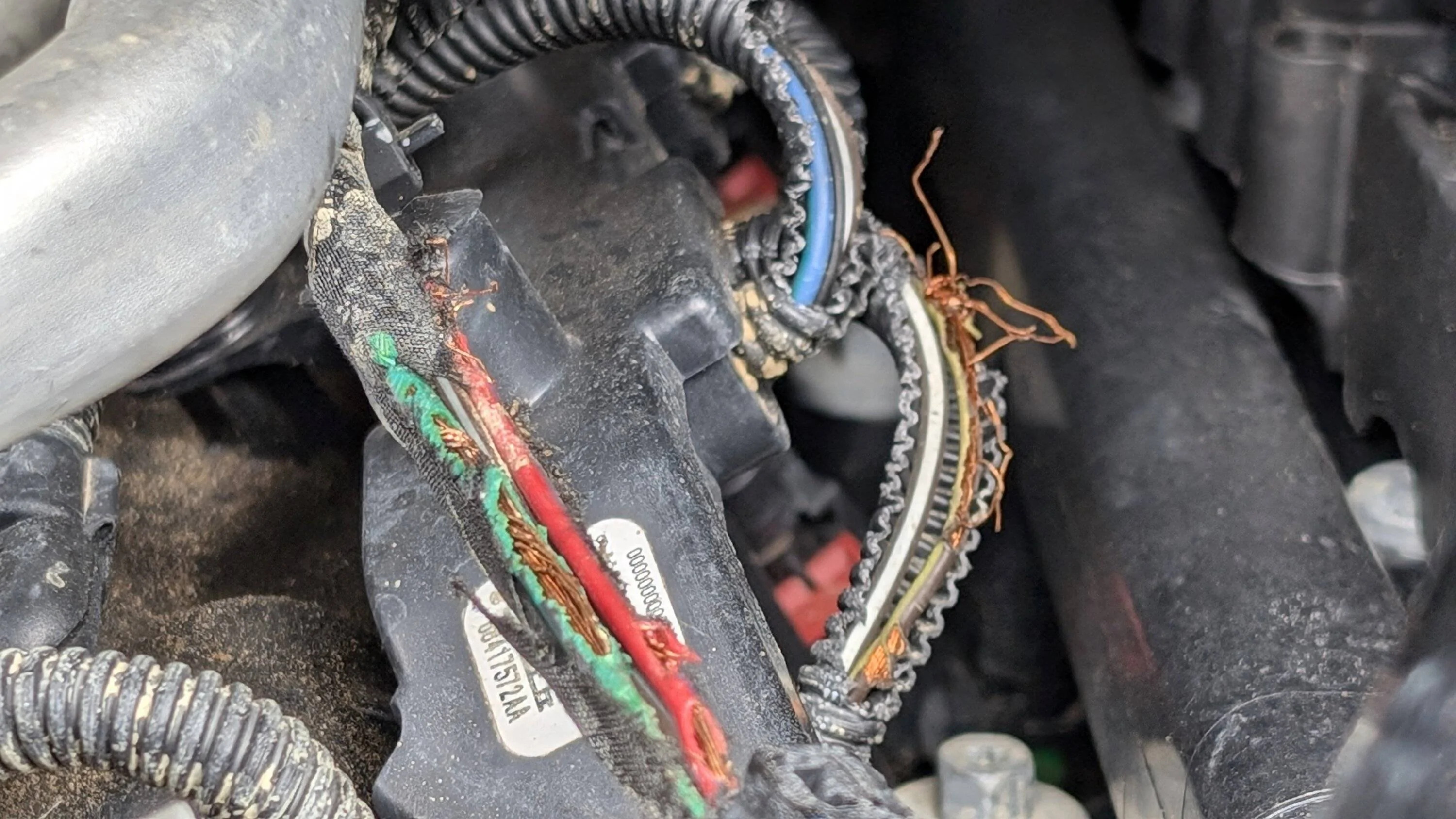 Jeep Gladiator Rodent Damage Fuel Injector wiring harness PXL_20240915_140602462.RAW-01.COVER