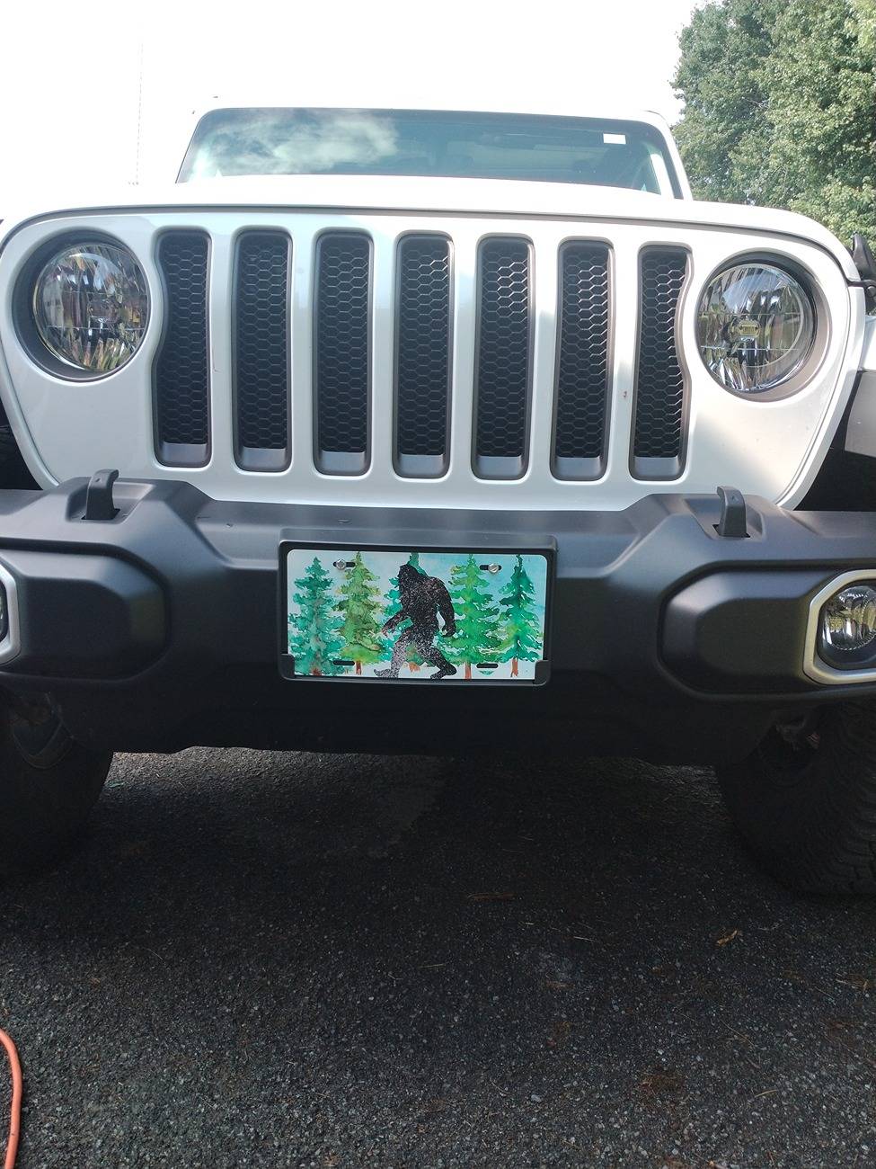 Jeep Gladiator Lame but...name or theme for your Gladiator? 1000000992