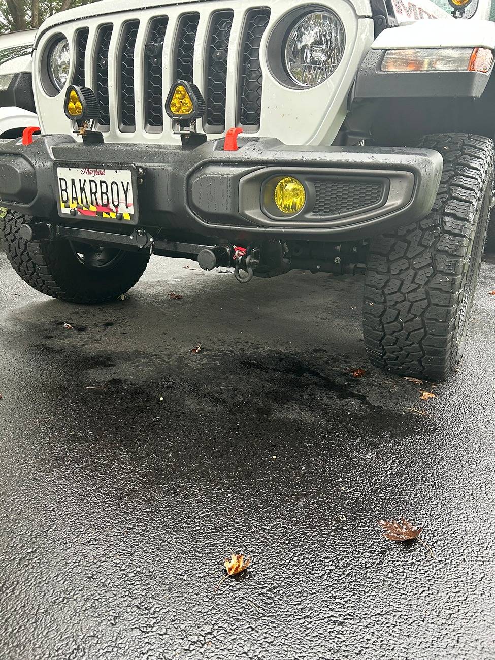 Jeep Gladiator Rugged Ridge Arcus IMG_3542