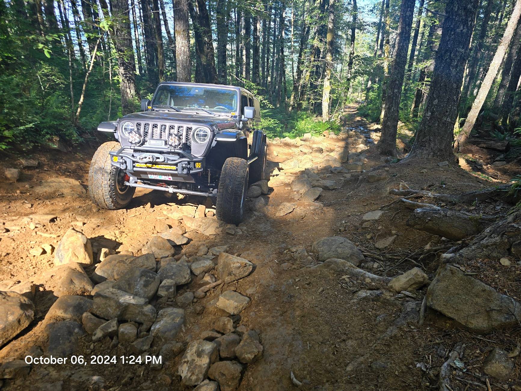 Jeep Gladiator What did you do WITH your Gladiator today? 20241006_132423