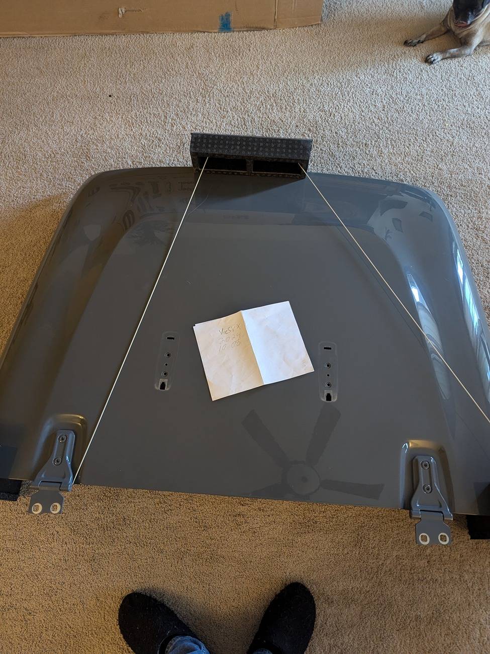 Jeep Gladiator Sport s Stingray hood $300 obo PXL_20241009_224353939