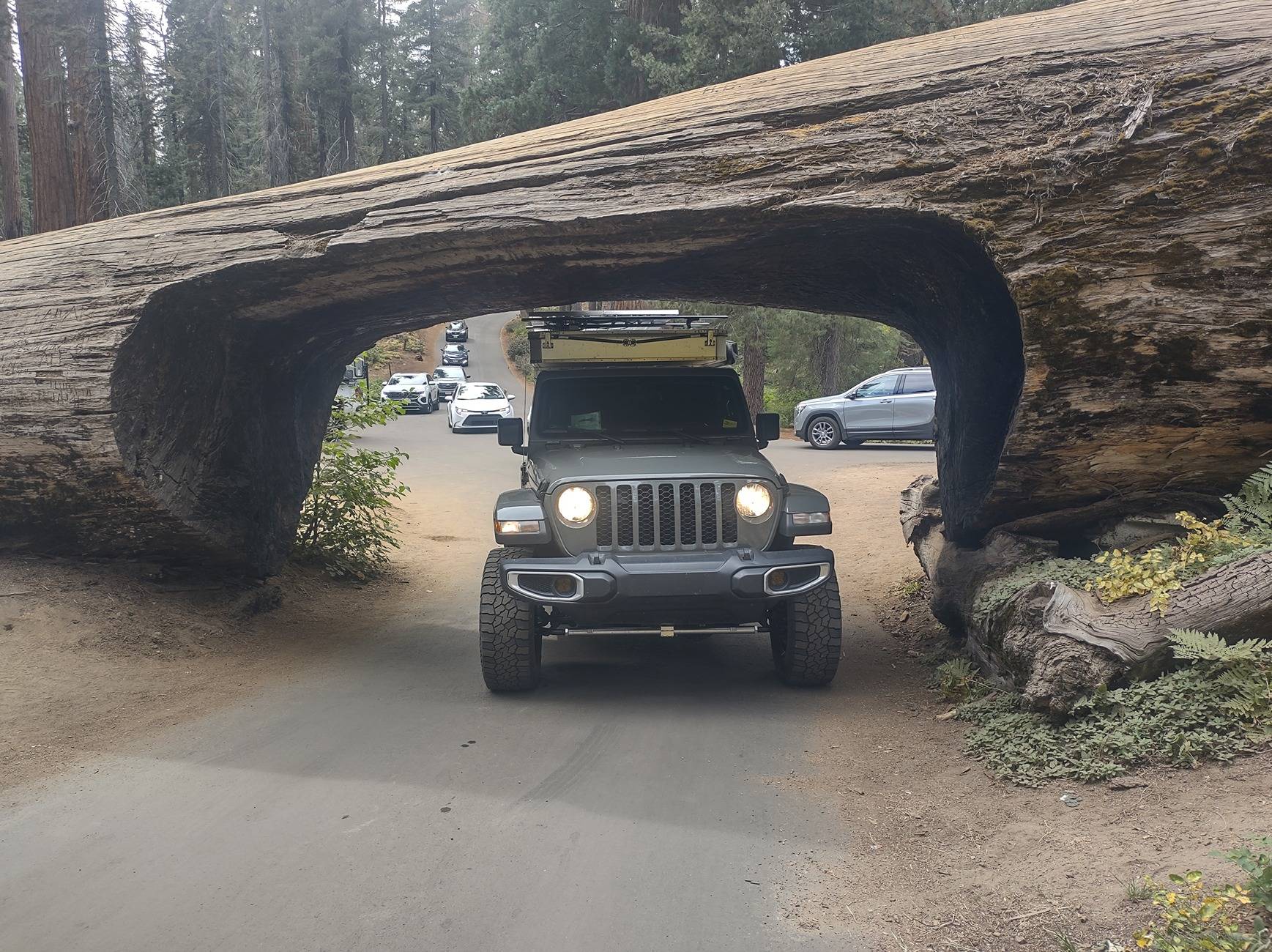 Jeep Gladiator Camping with your Gladiator IMG_20241011_141603534_HDR
