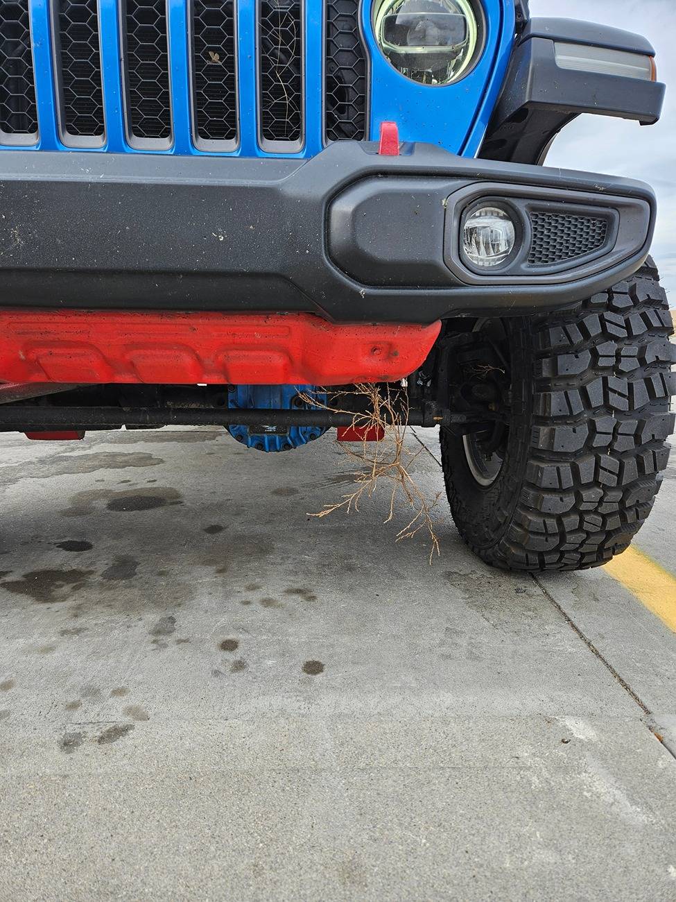 Jeep Gladiator What did you do TO your Gladiator today? [ADMIN WARNING: NO POLITICS, NO GUN TALK] 20241017_164222