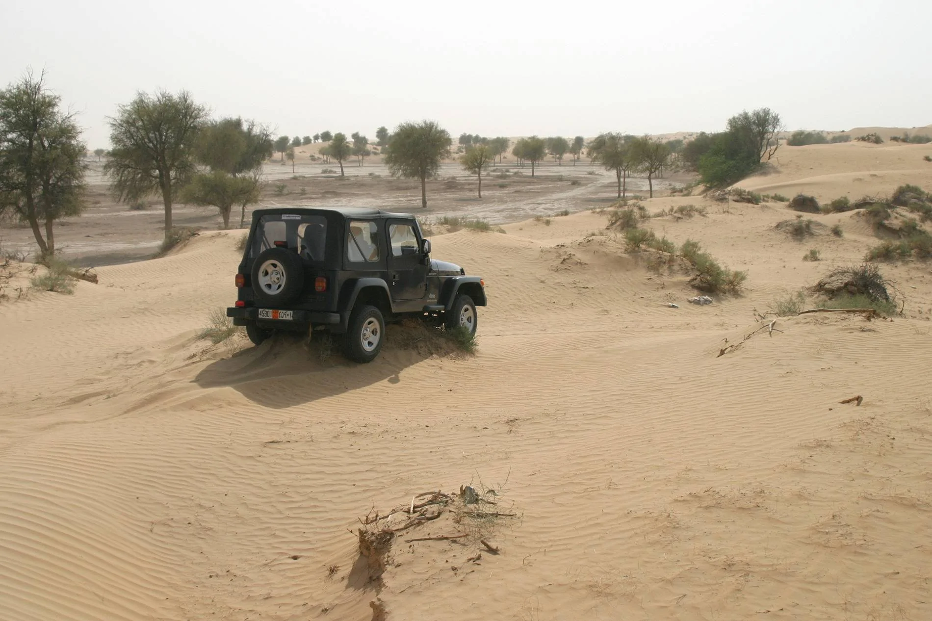 Jeep Gladiator Throwback Thursday - Post your favorite rig pics from the past IMG_3601