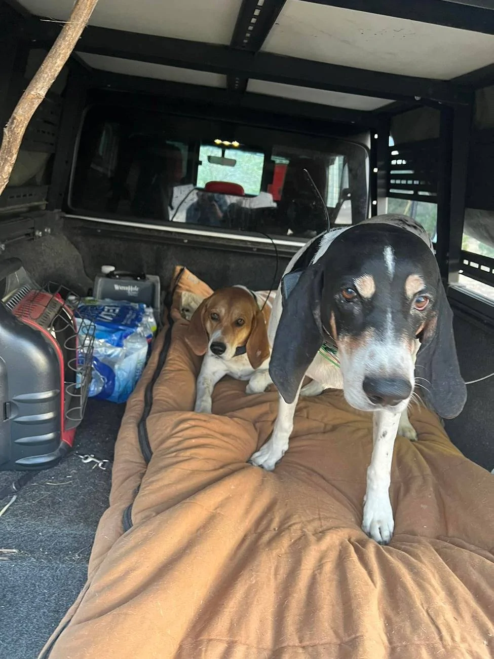 Jeep Gladiator Gladiator Camping (Temporary Setups) Inside Tar