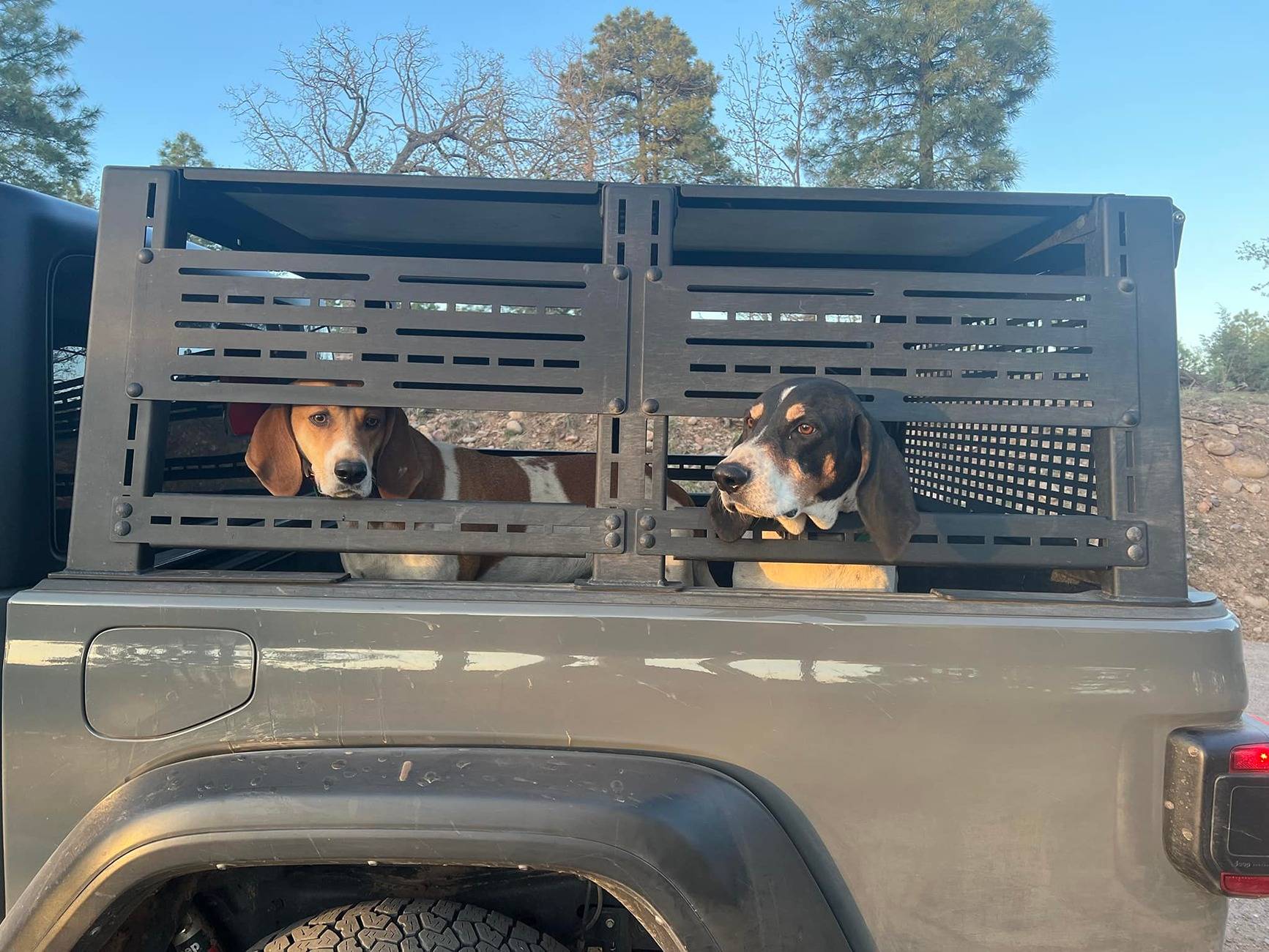 Jeep Gladiator Gladiator Camping (Temporary Setups) Rebel Dog Box