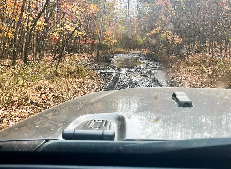 Jeep Gladiator What did you do WITH your Gladiator today? 54096998343_ec34e47343_c