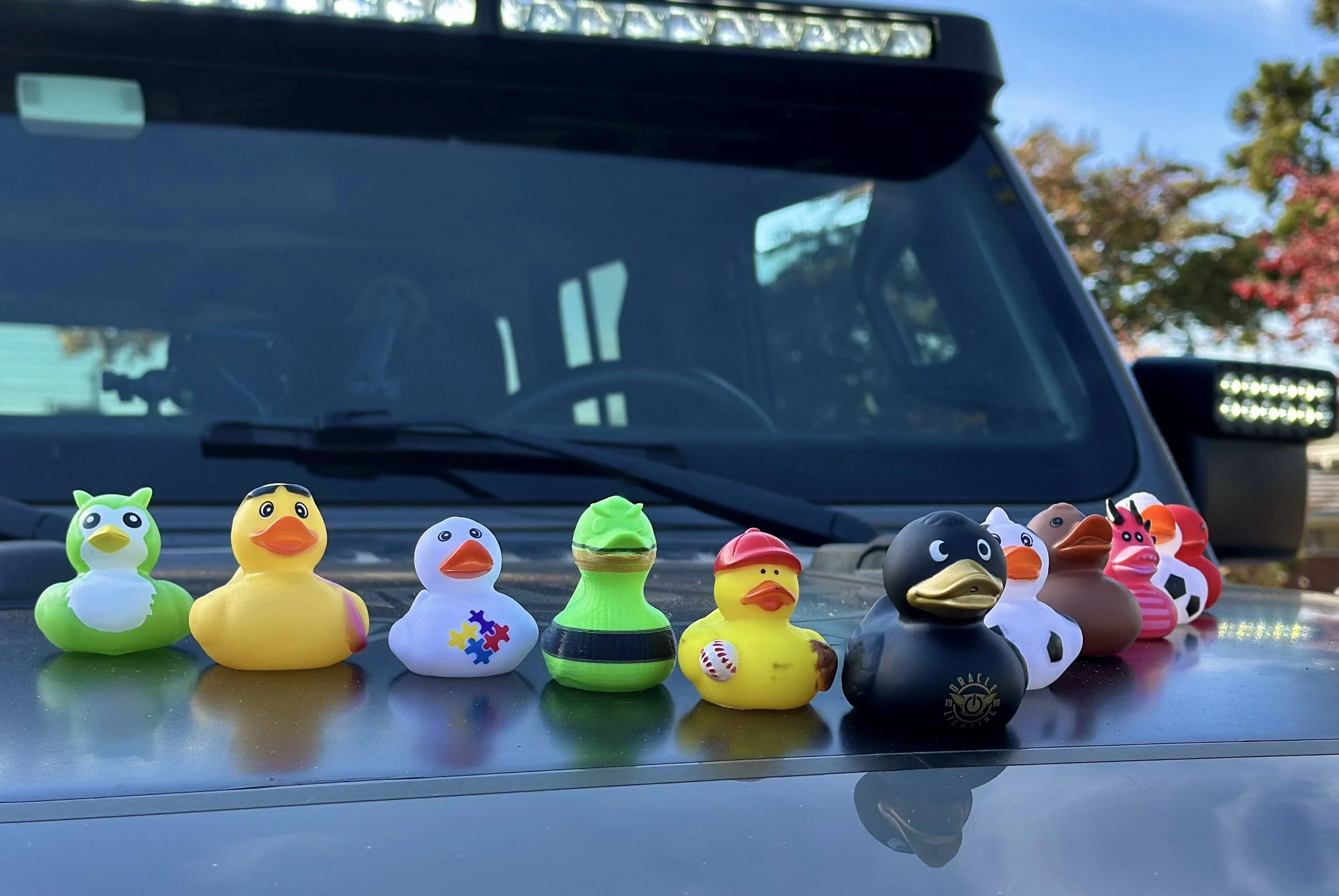 Jeep Gladiator Are Your Ducks in a Row? Show us!!! ORACLE Lighting Ducks In a Ro