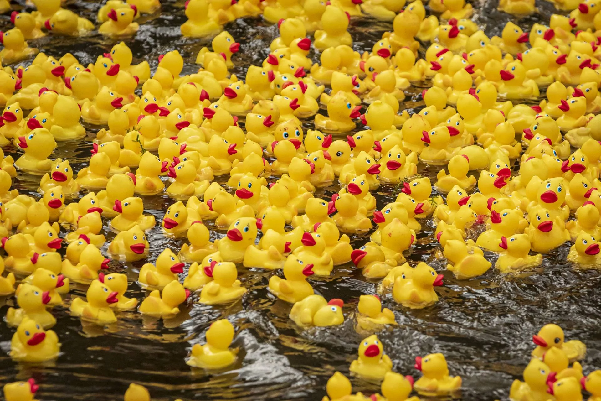 Jeep Gladiator No Ducks For Me(Beware, rant/negative duck comments) 220903_summit_foundation_rubber_duck_race_web_214
