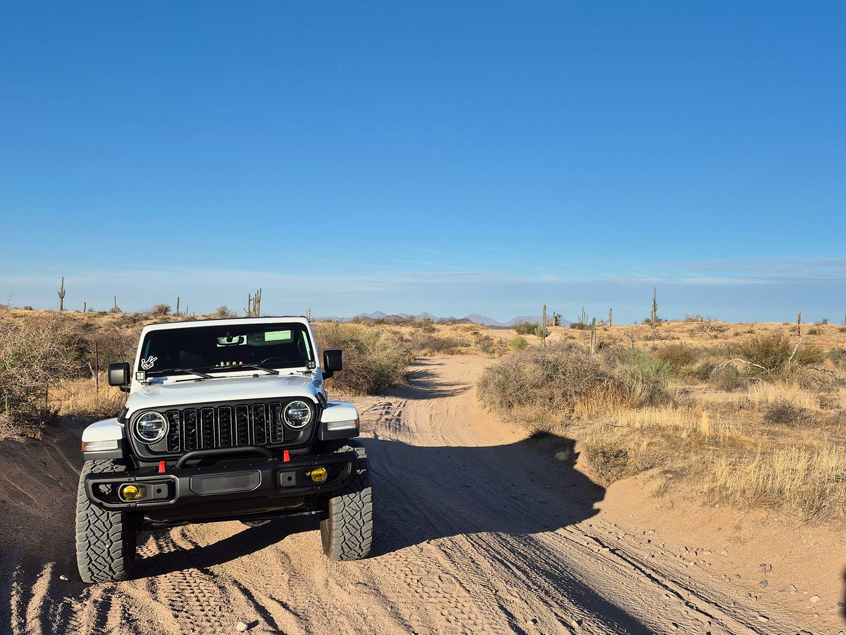 Jeep Gladiator What did you do WITH your Gladiator today? 1000007031