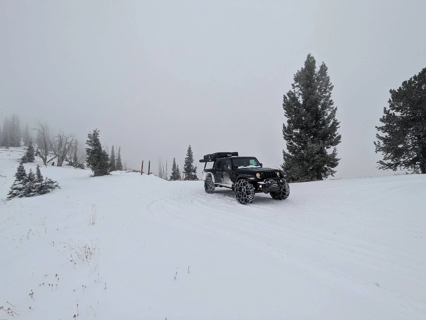 Jeep Gladiator What did you do WITH your Gladiator today? PXL_20241031_192320772