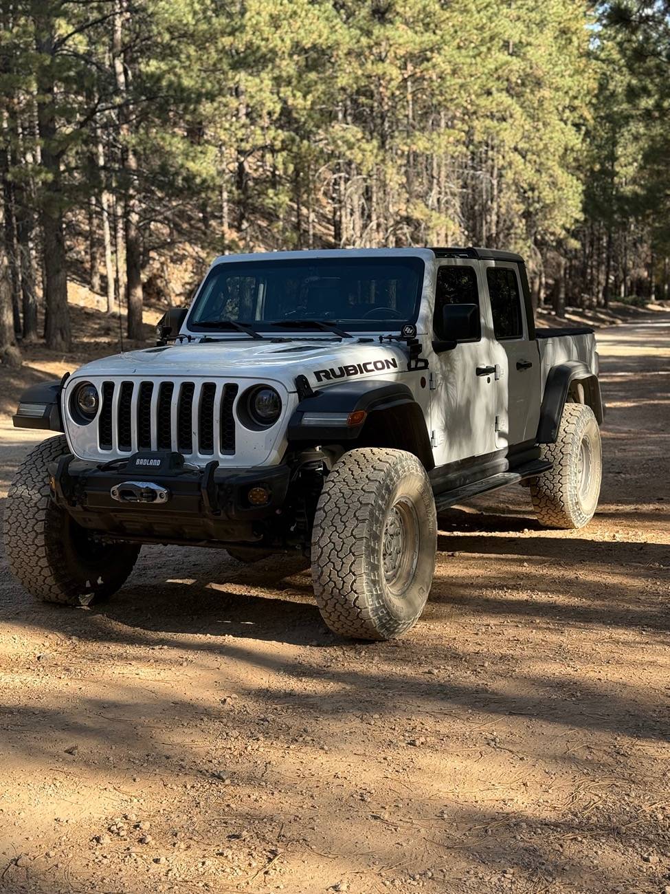 Jeep Gladiator White Knuckle Sliders with Rocker Guards or with Rubi Rails IMG_6110