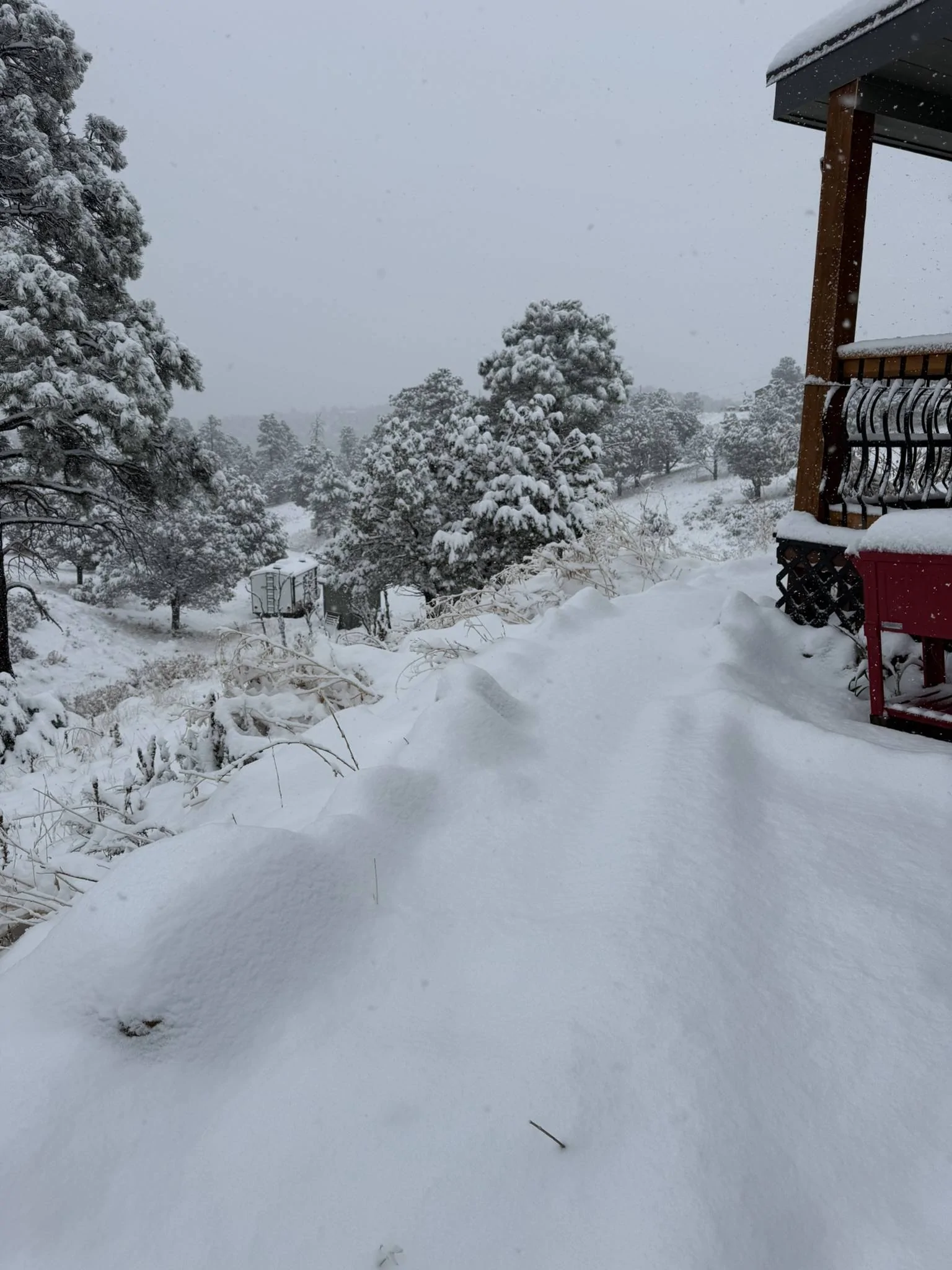 Jeep Gladiator First snow w/ Kanati Trail Hog A/T Tires IMG_0494