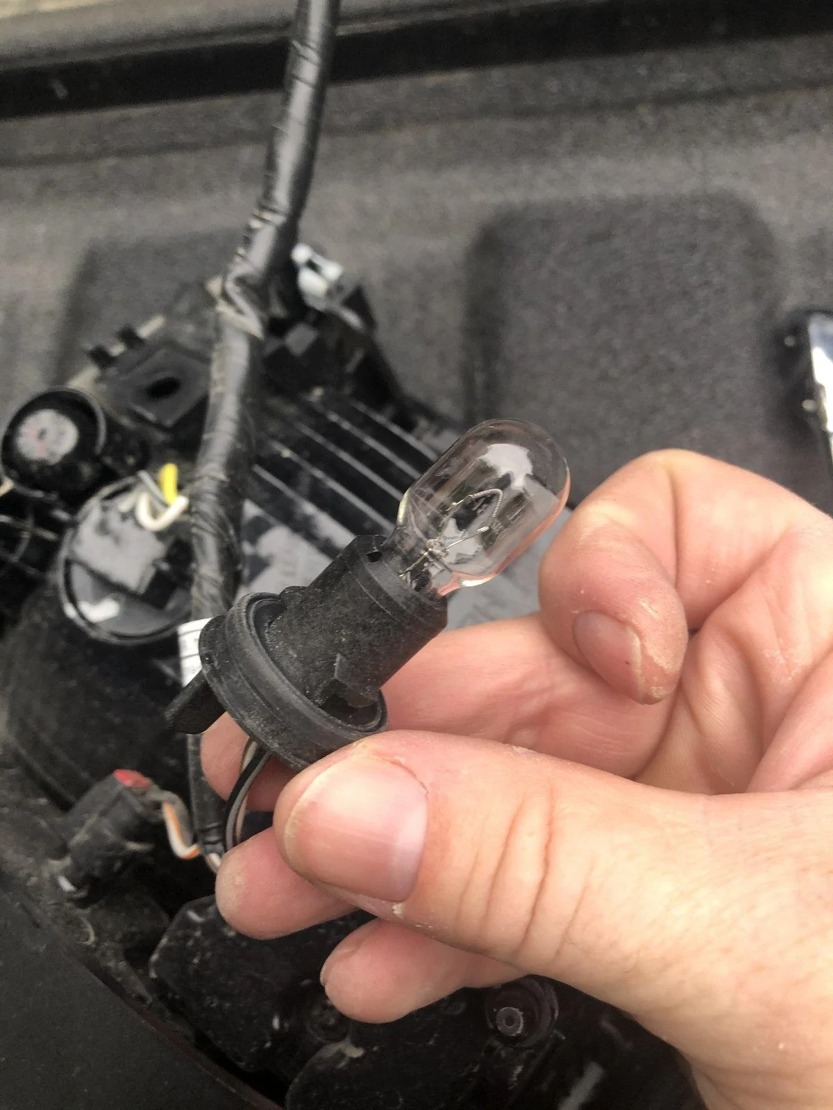 Jeep Gladiator LED Bulb Replacement - IT WORKS! DCB9390D-F41A-40FC-B3C0-25DADAD74E73