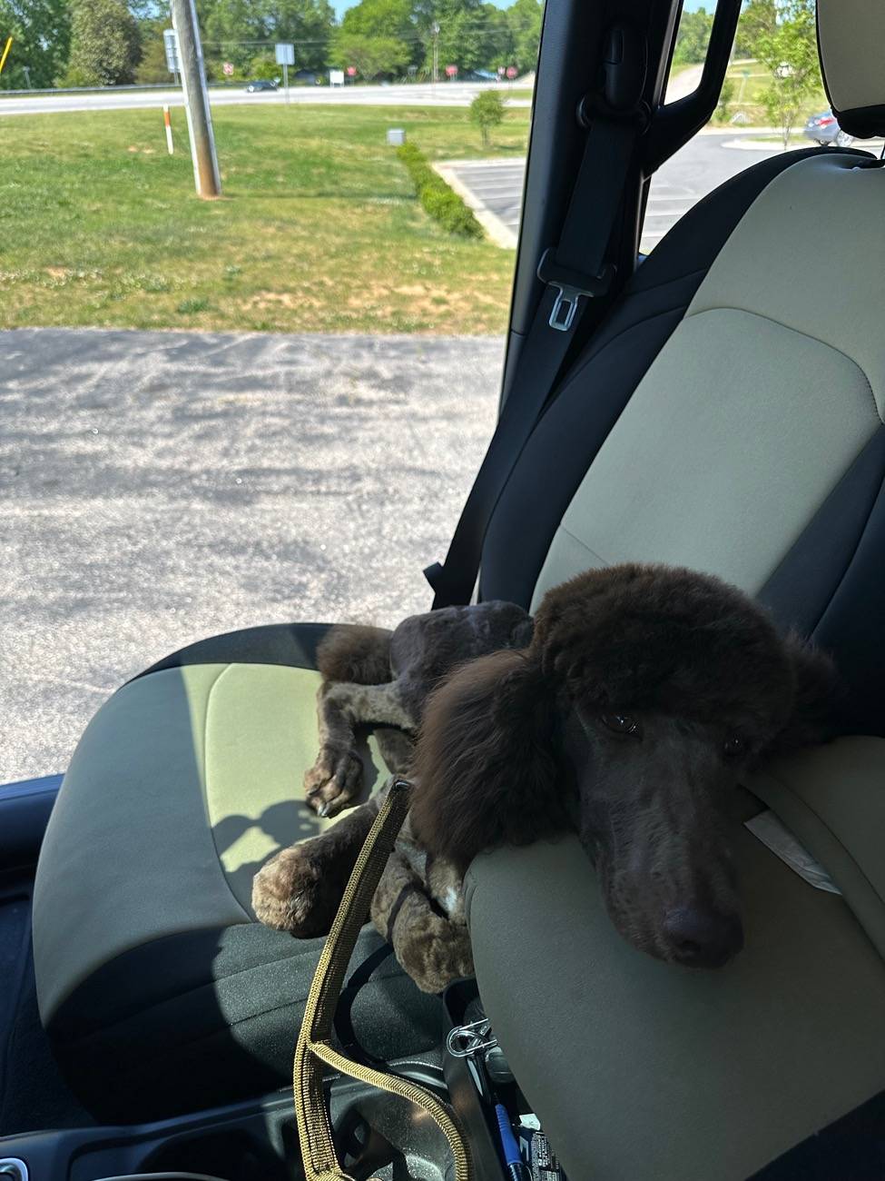 Jeep Gladiator Quadratec Diver Down Neoprene Seat Covers ?? IMG_4560