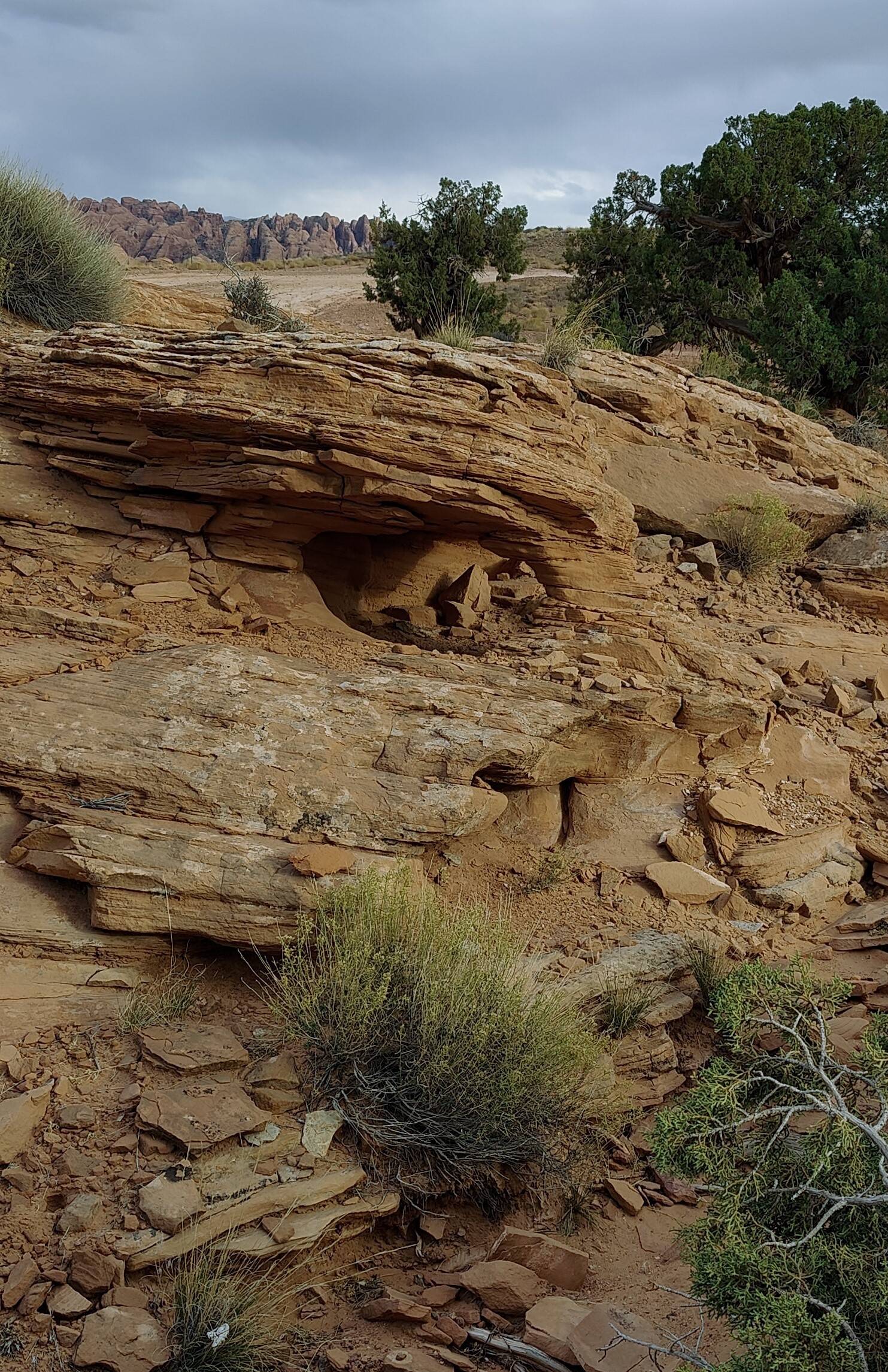 Jeep Gladiator Red Rock 4-Wheelers Trail of the Month November 2024 - Poison Spider Mesa Reach2S