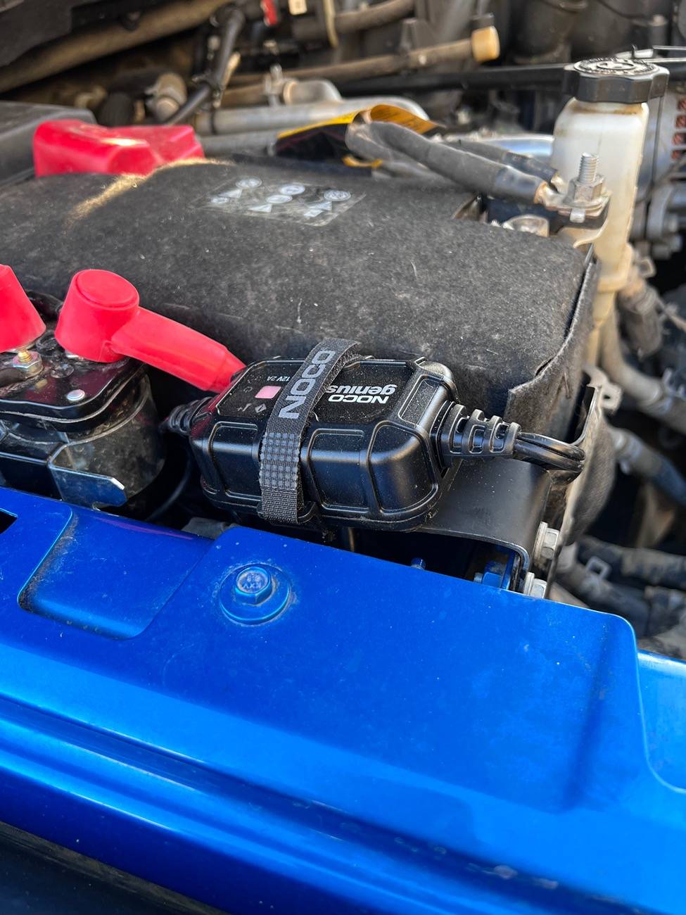 Jeep Gladiator Hood Up… Hood Down - Repeat IMG_1488