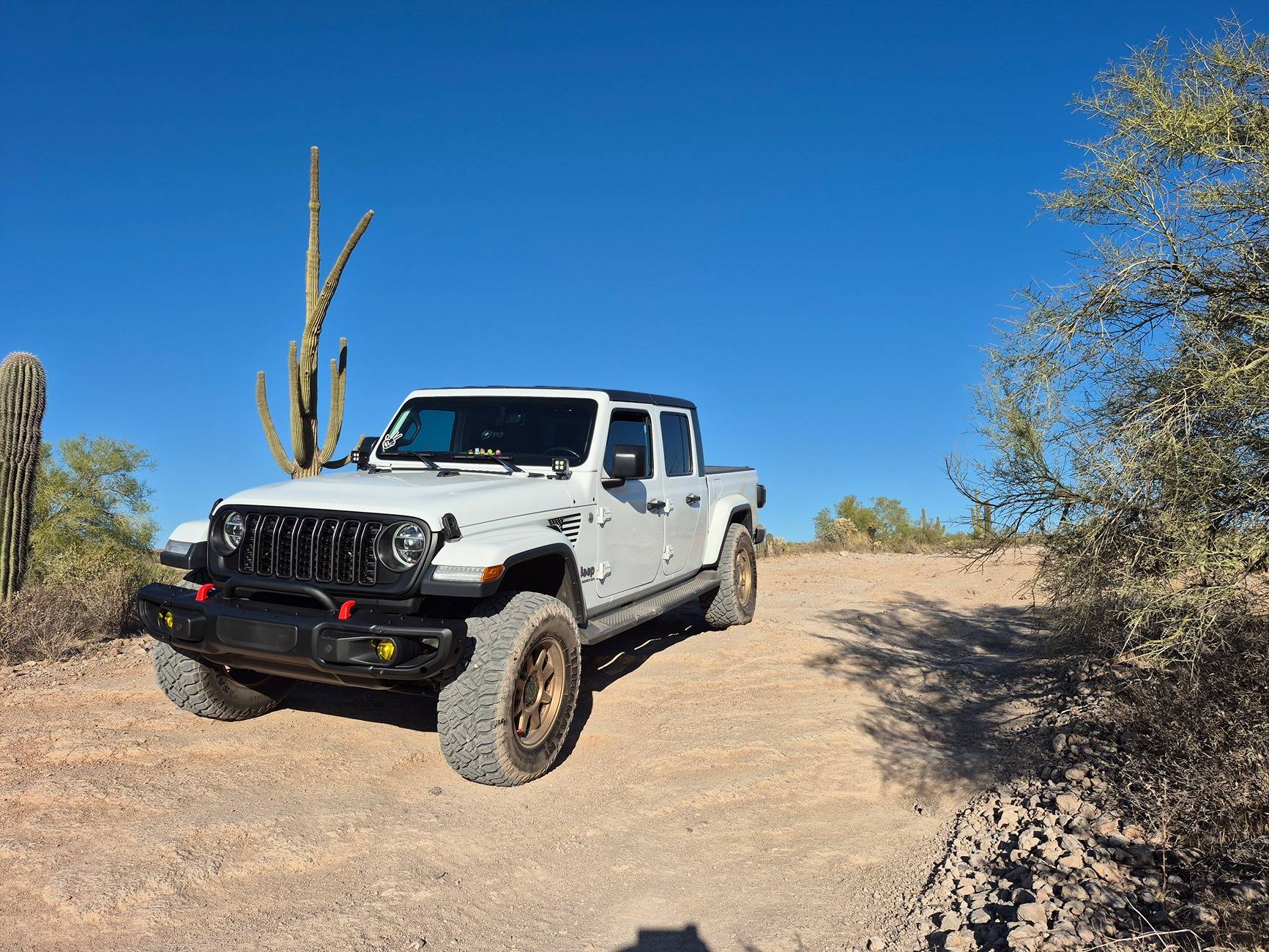 Jeep Gladiator What did you do WITH your Gladiator today? 1000007064