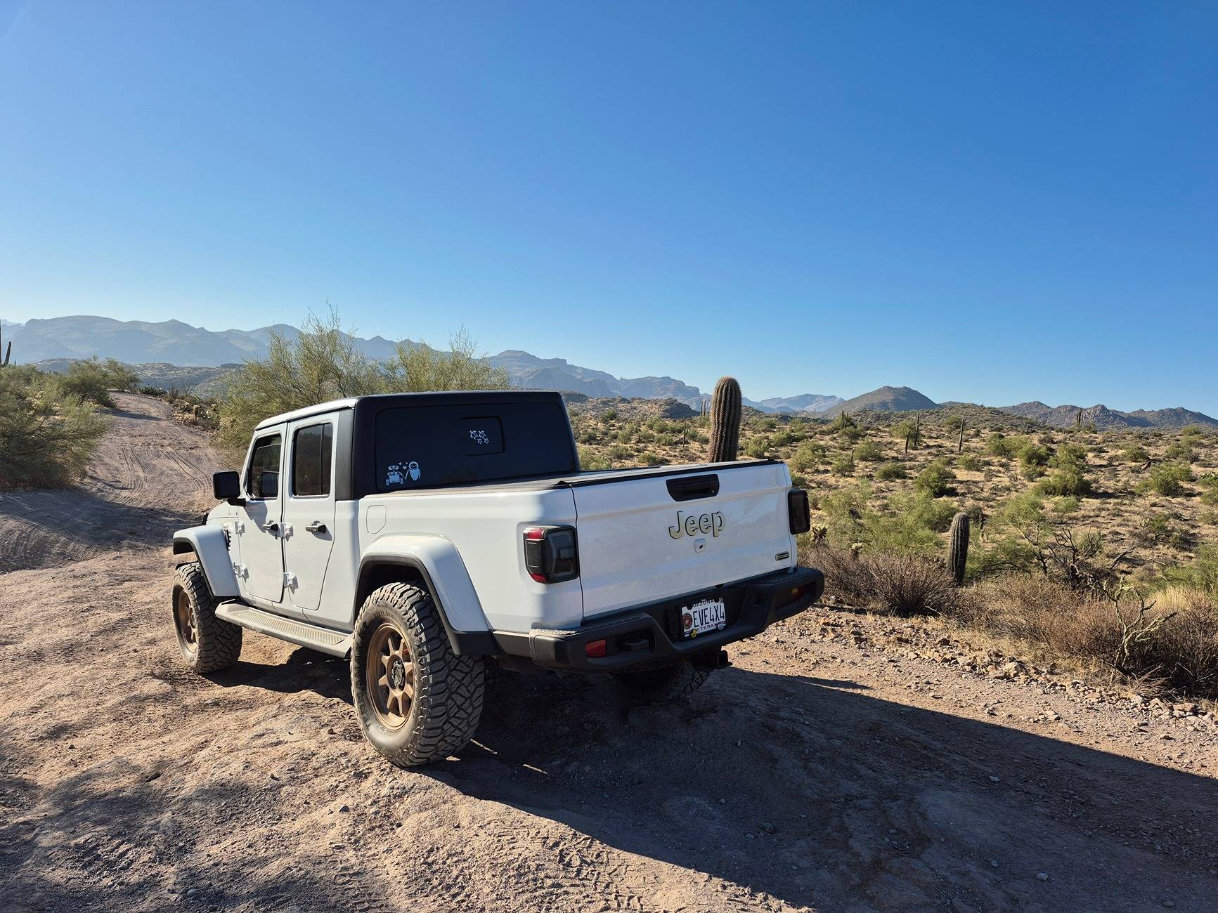 Jeep Gladiator What did you do WITH your Gladiator today? 1000007065