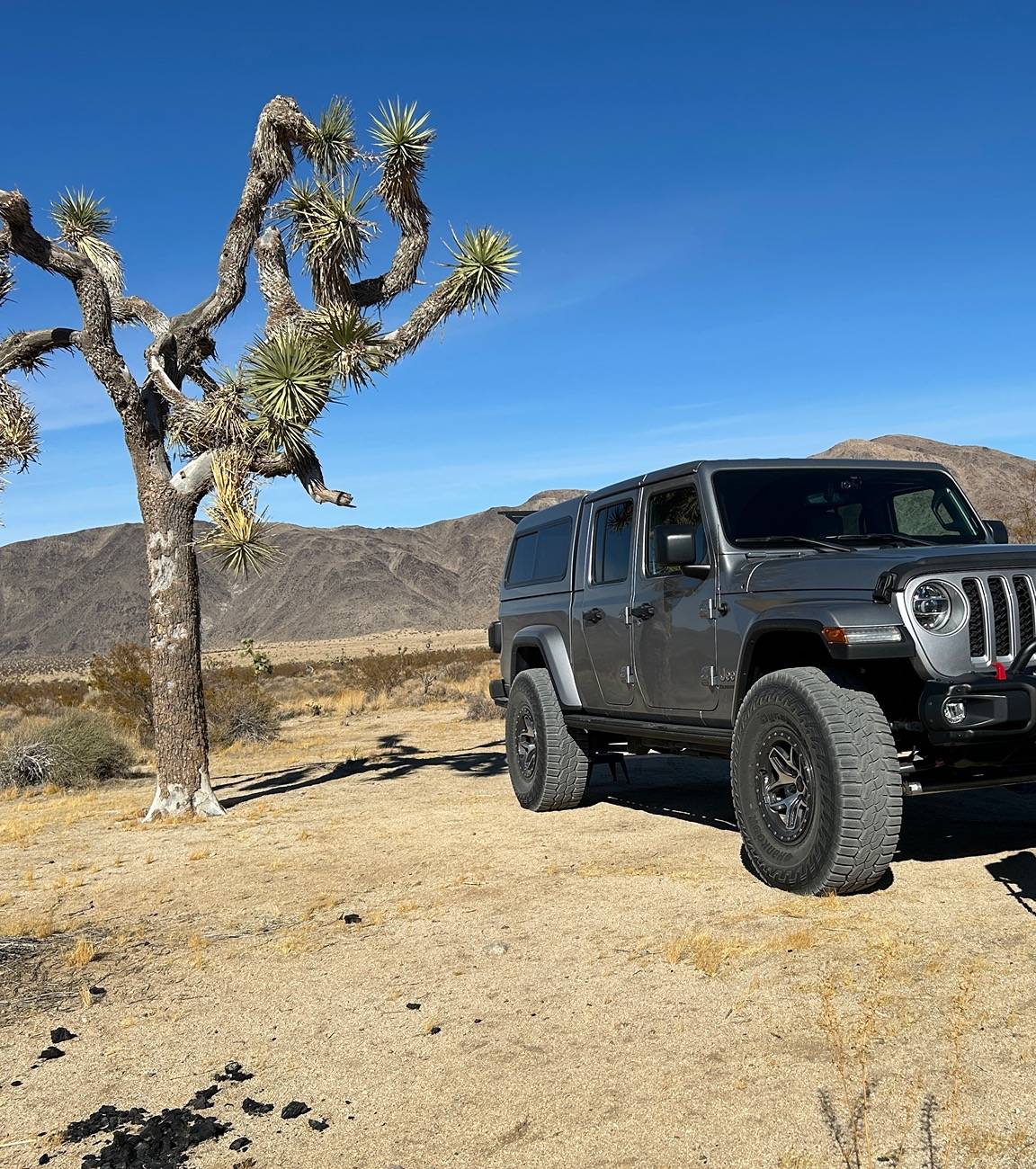 Jeep Gladiator What did you do WITH your Gladiator today? IMG_0026