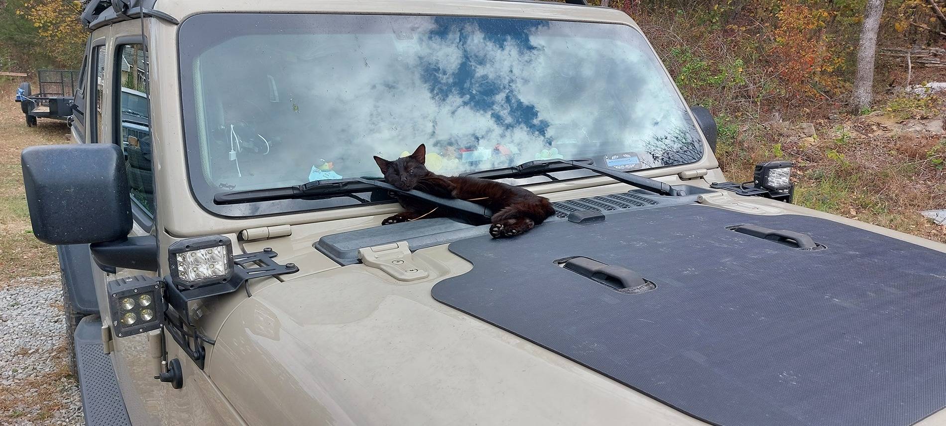 Jeep Gladiator At first I thought Solar Hood Panels were just Hood Ornaments 20221029_124208