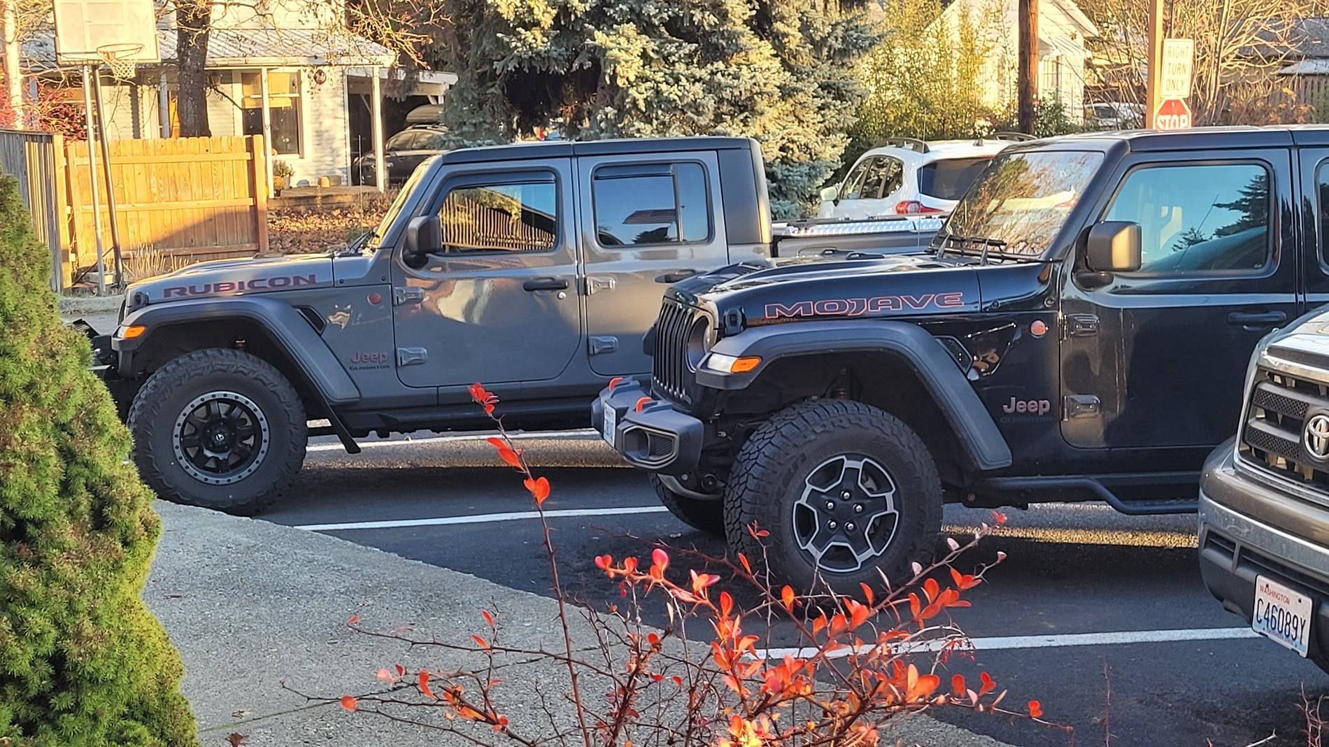 Jeep Gladiator Jeeps Parking Next To Jeeps 20241129_153133