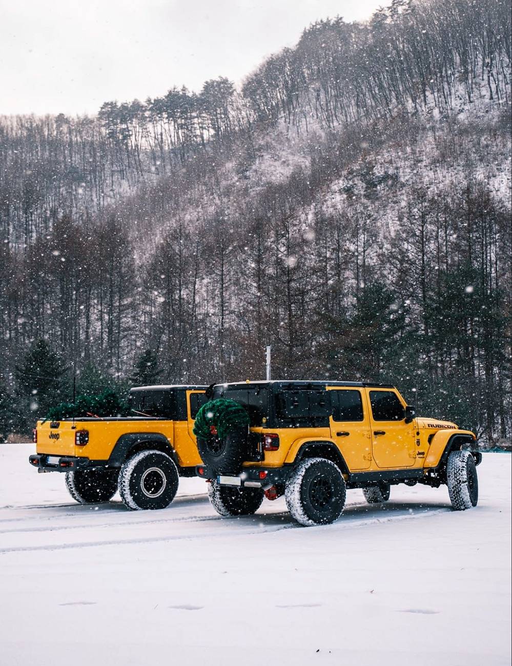 Jeep Gladiator Hella Yella JT IMG_1806